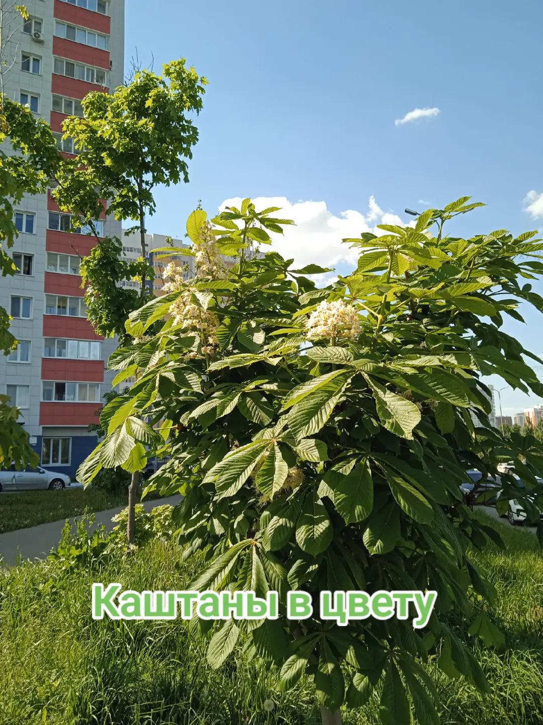 @Лилия
