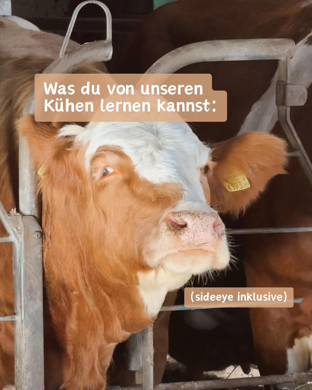 @landwirtschaft.moosbauer