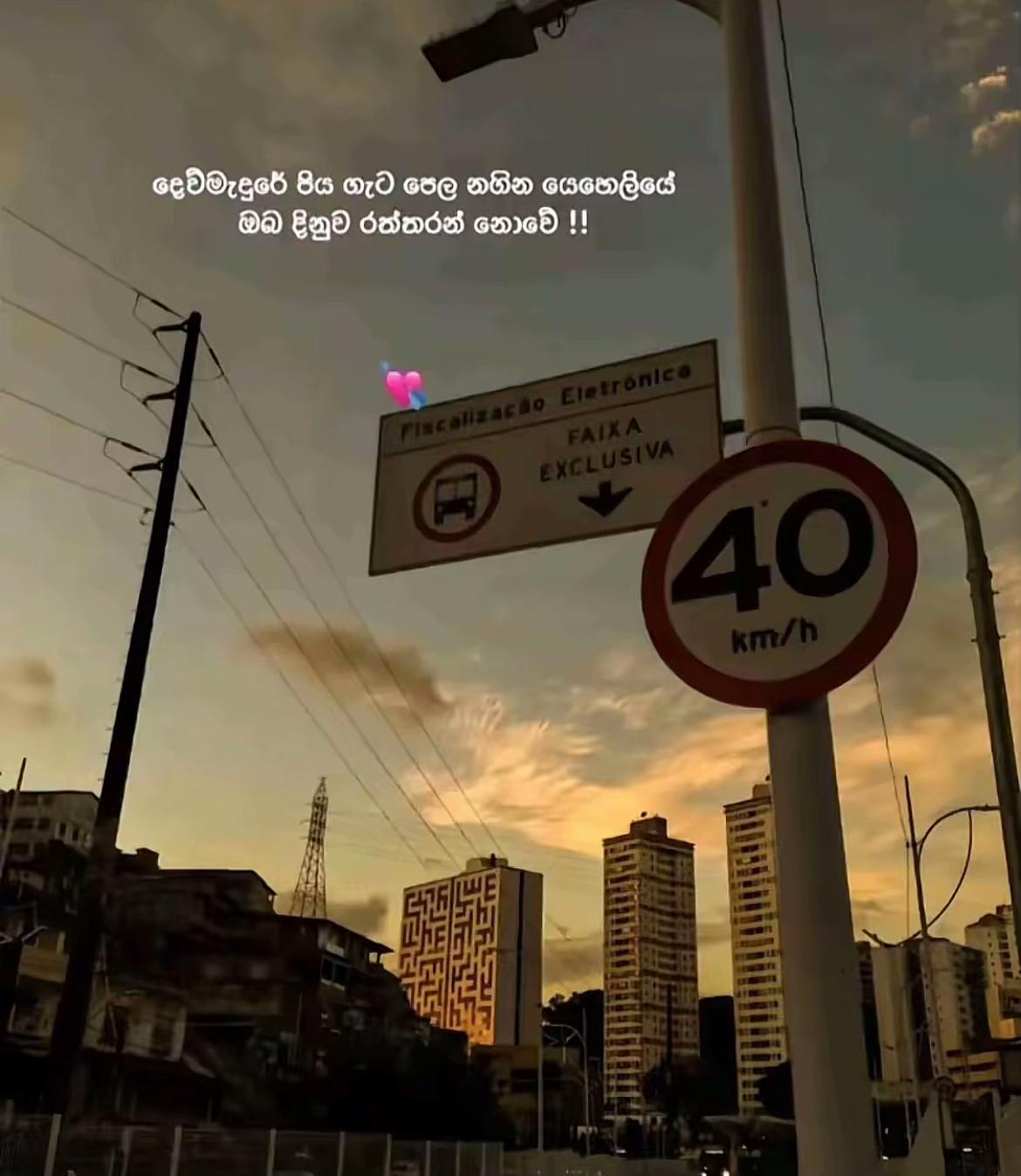 @👅පැලේ ❤️🫀3/24 🔐🫴