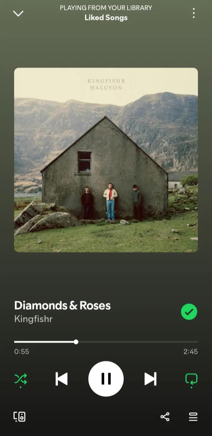 @SPOTIFY_GIRL