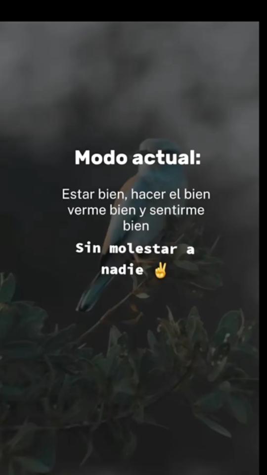 @reymant
