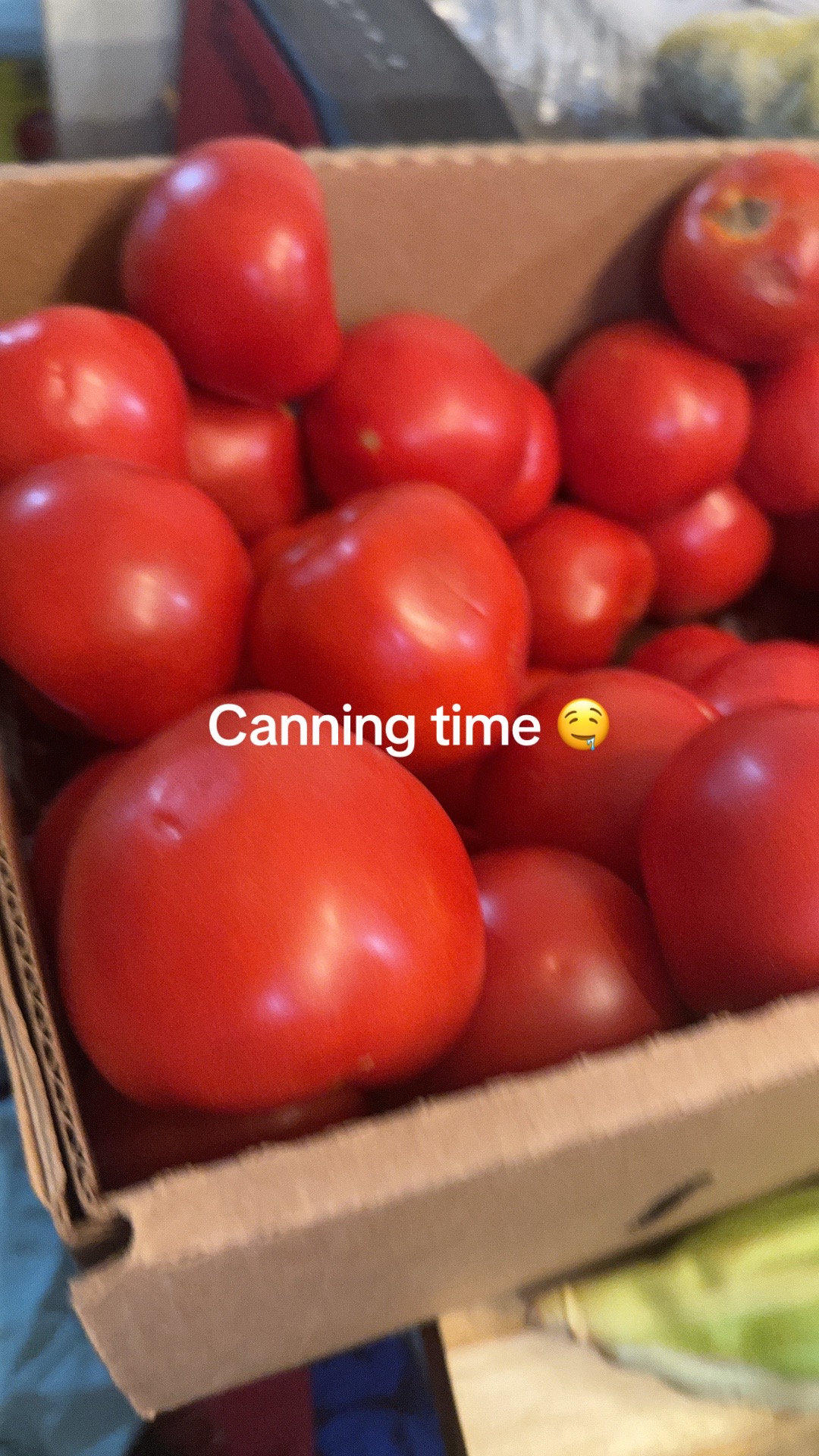 @Little.bitty030