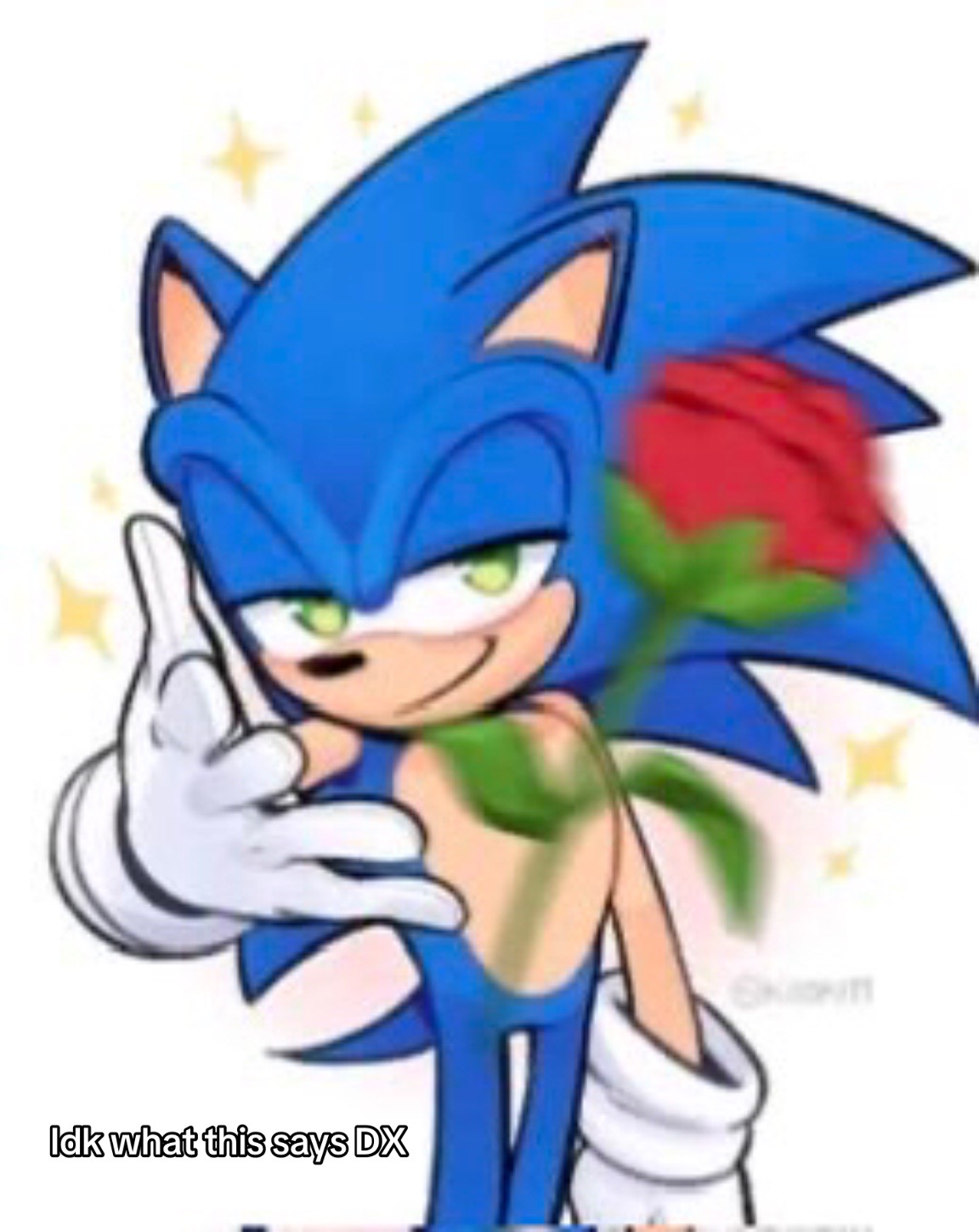 @RosésAccദ്ദി ≽^⎚˕⎚^≼ .ᐟ🌺🌹