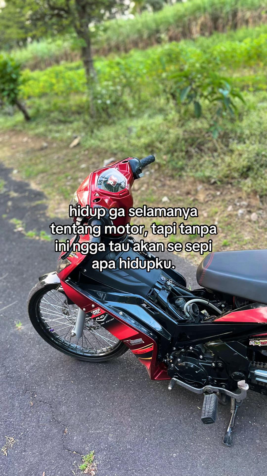 @𝙒𝘼彡★