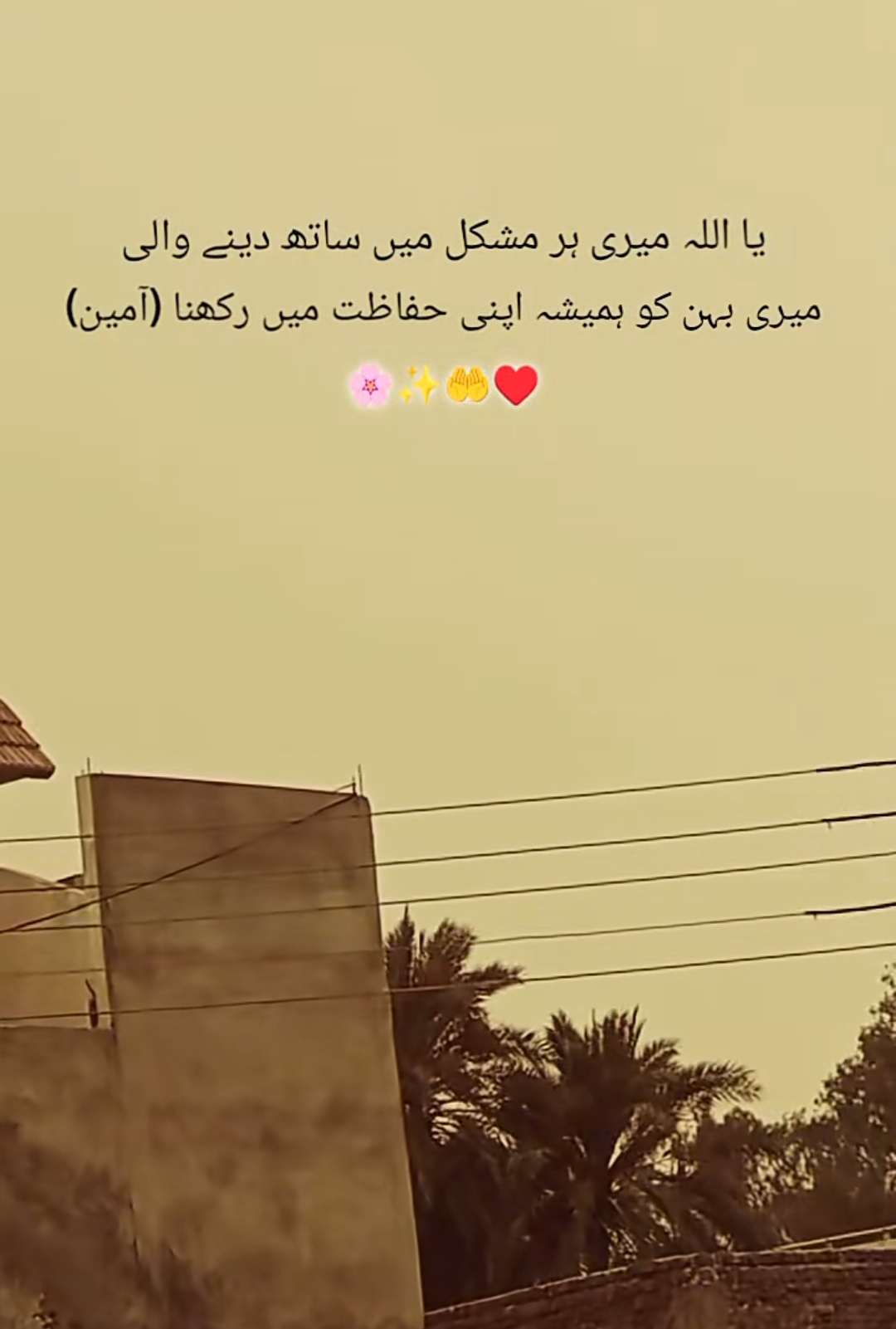 @زوجہ احمد🥰🥰
