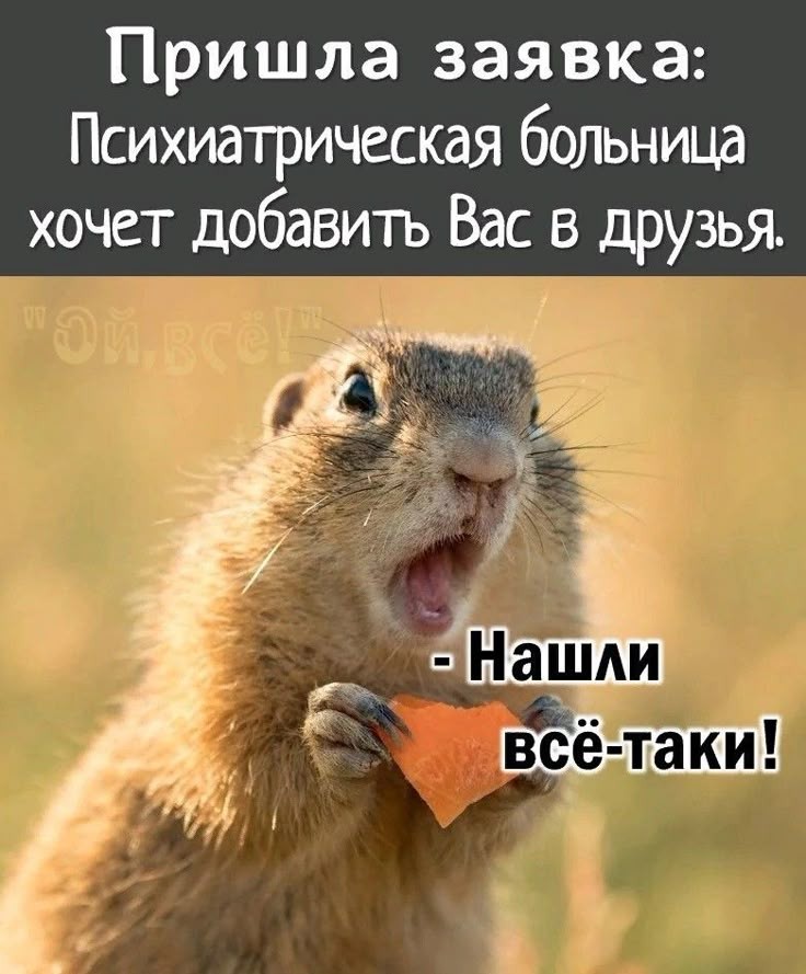 @goluboglazka_ya01