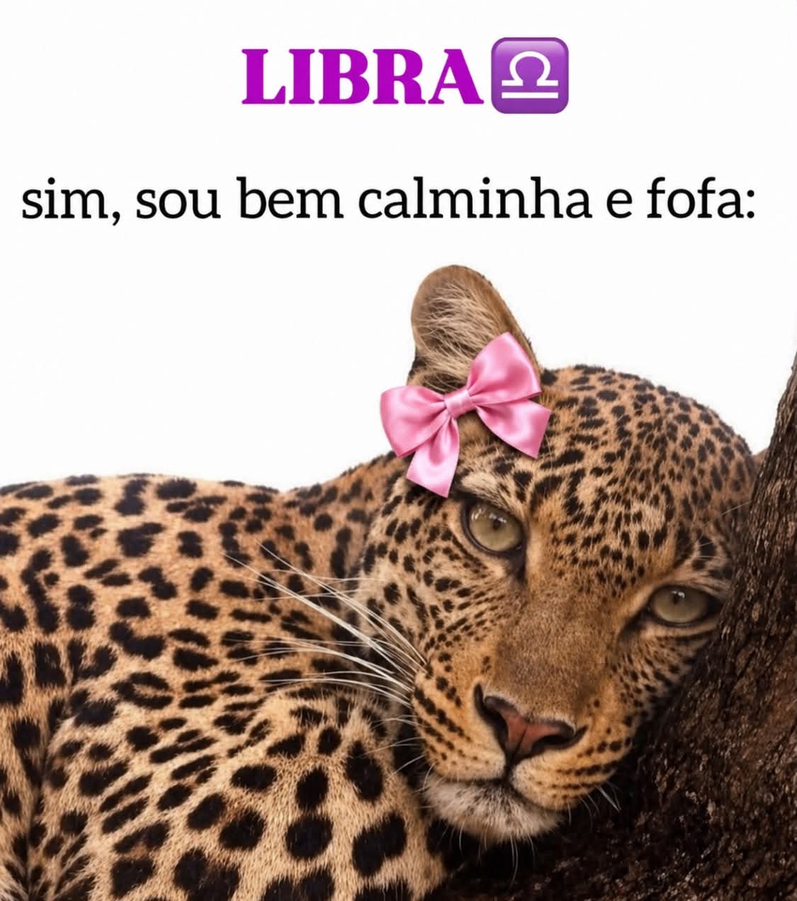@Neide Pinheiro
