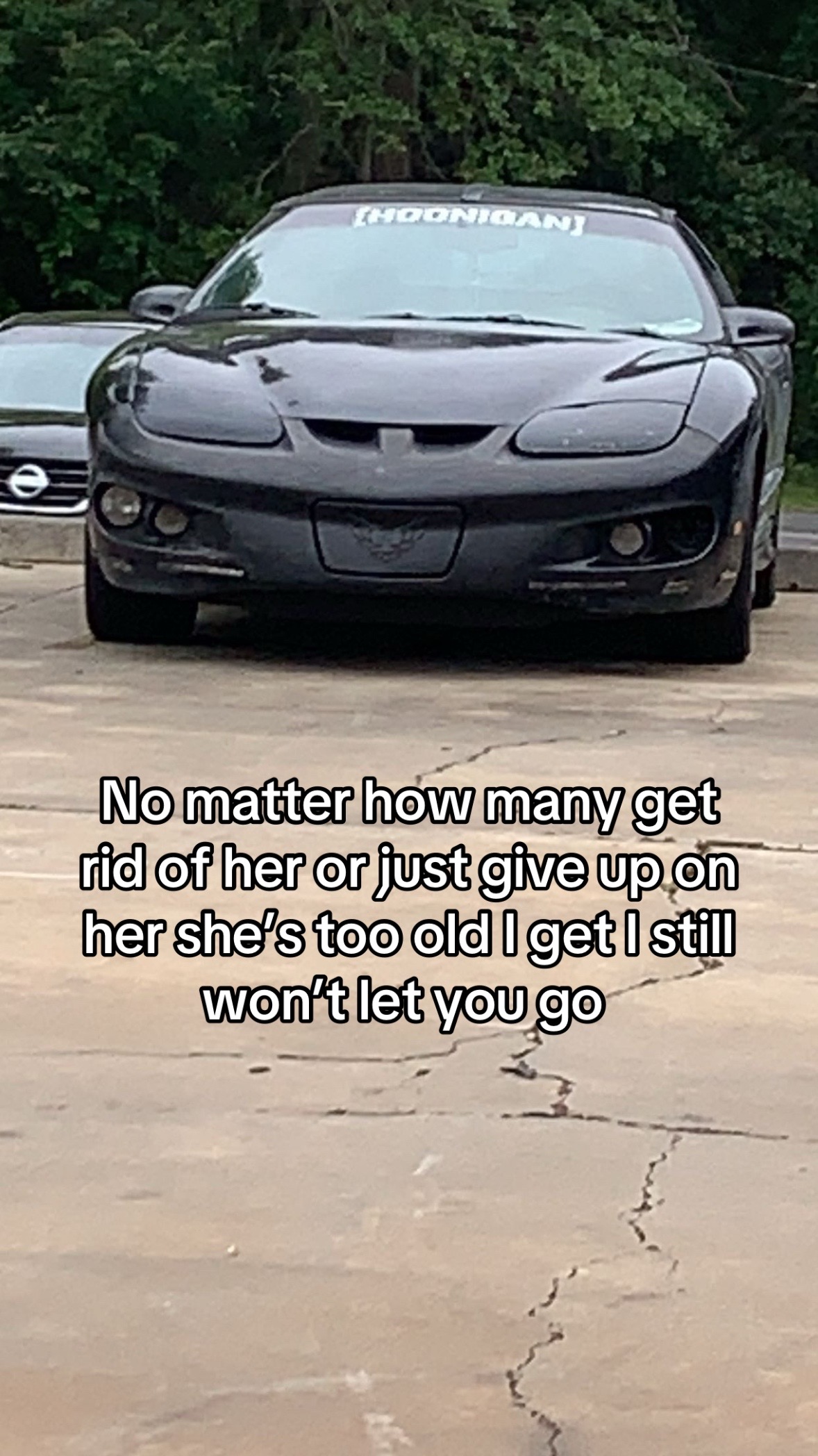 @Notacamaro