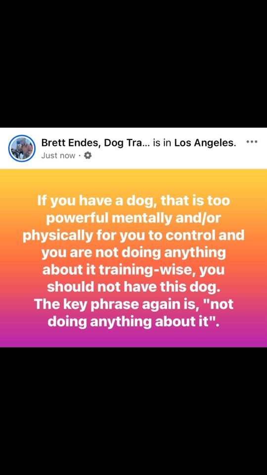 @The Dog Savant