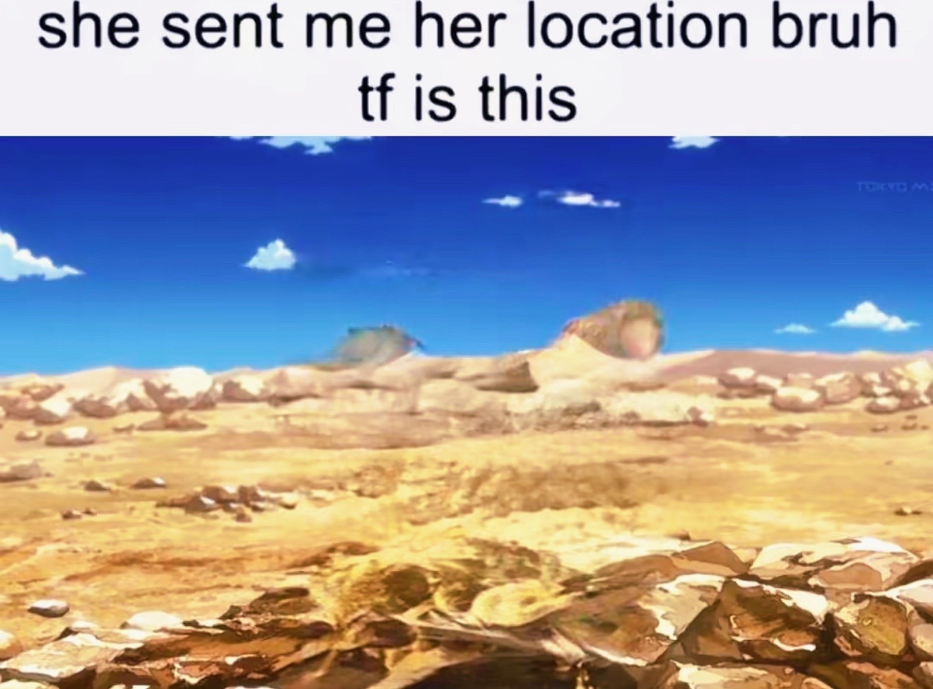 @ash🪴