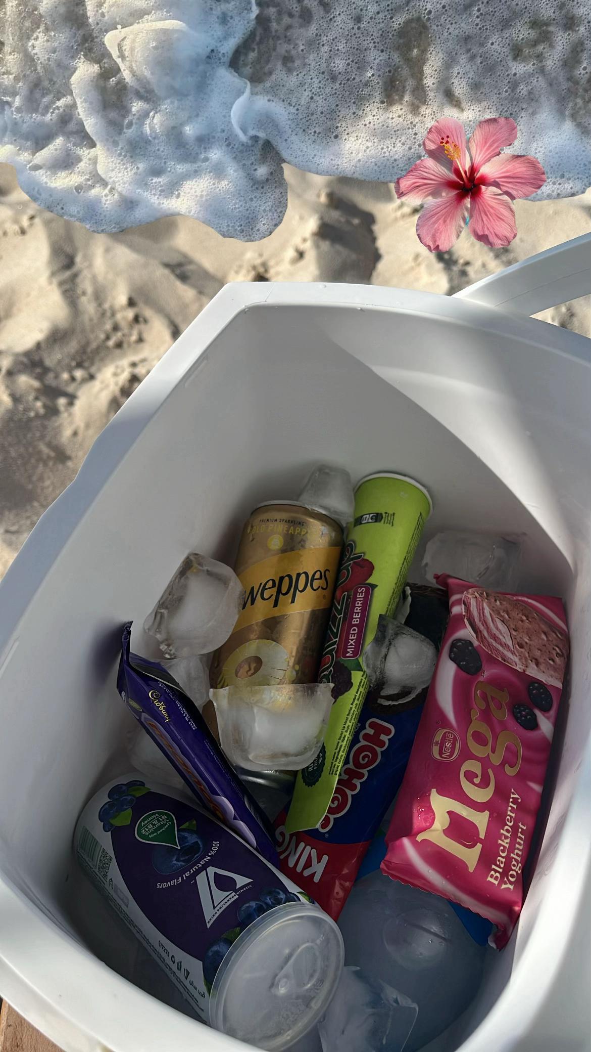 @Arwaamin || أروى أمين