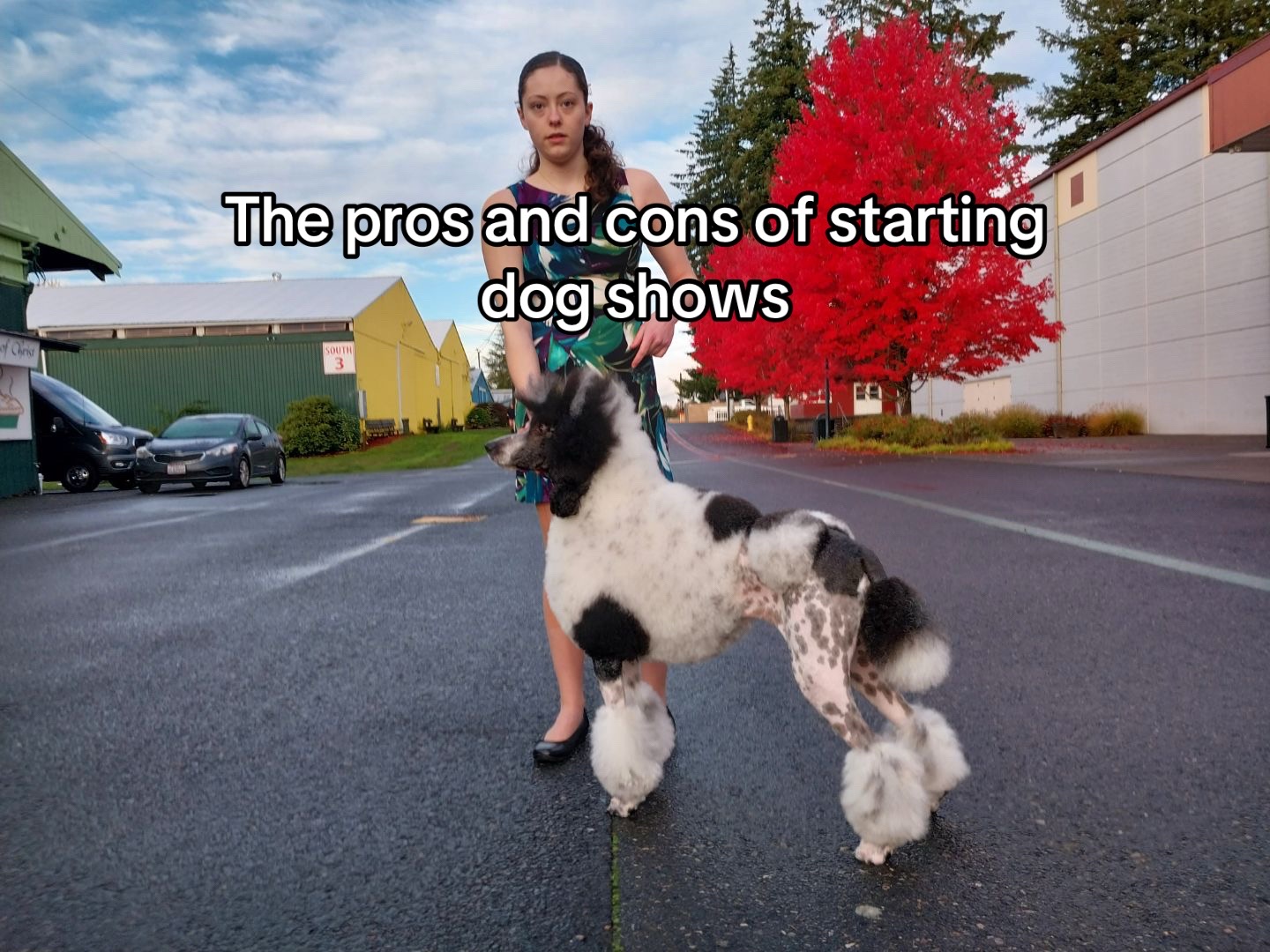 @Emmabelle + Poods 🐩🤍