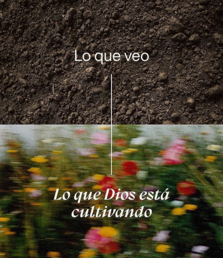 @Carlos Alberto