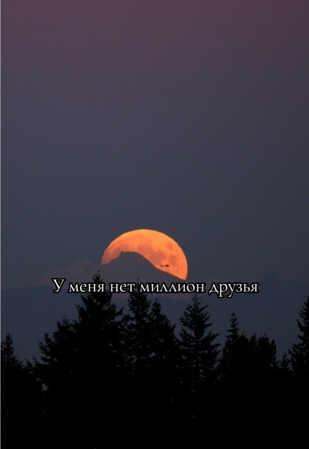 @~𝑈𝑙𝑡'𝑢