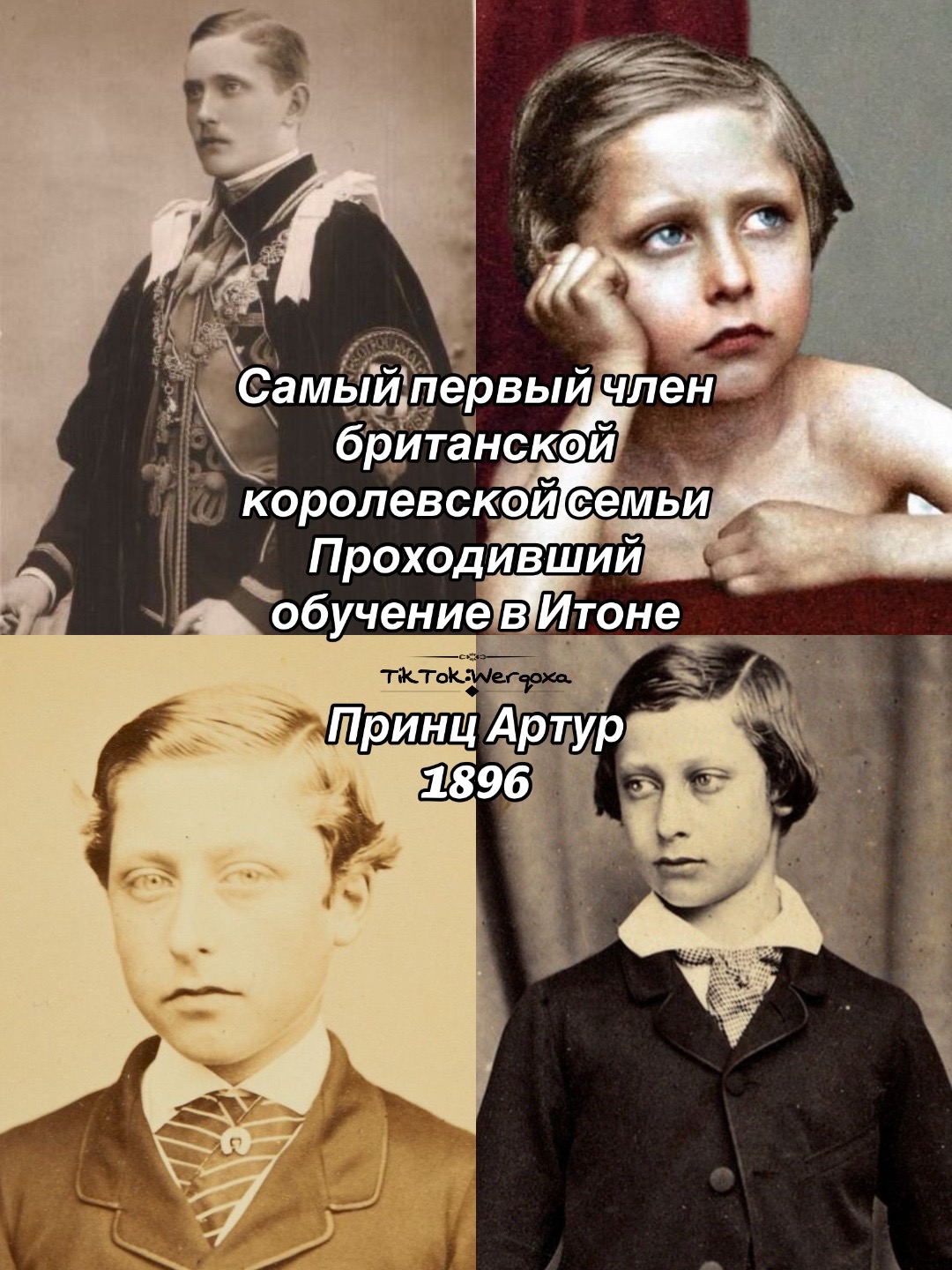 @Тгк: Тридевятое Царство 🤏🏻