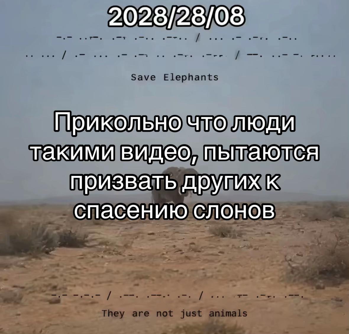 @ᴍᴜʀᴀᴍᴜʀ🐈⬛