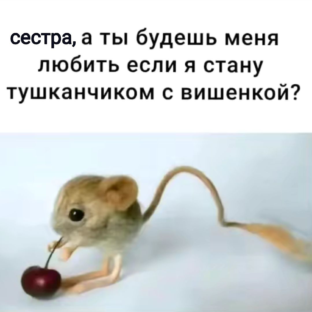 @Leinoon