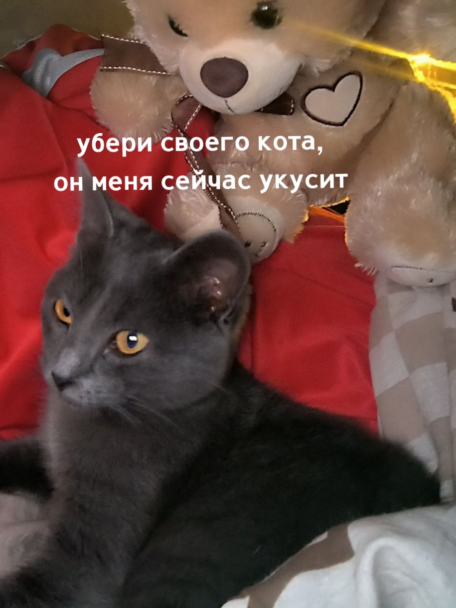 @Неко˙˚ʚ(&acute;◡`)ɞ˚˙