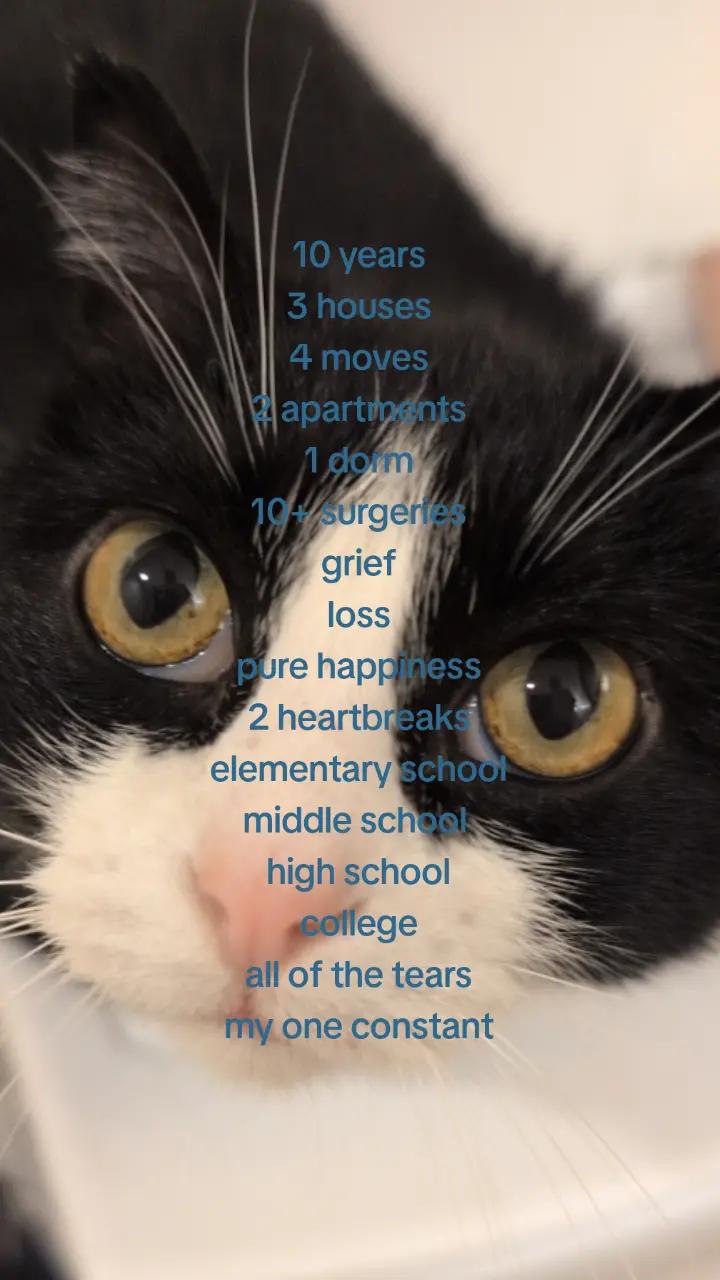 @｡𖦹&deg;⭒ 𝙼𝑒𝖌ꫝᥢ ⭒˚｡⋆