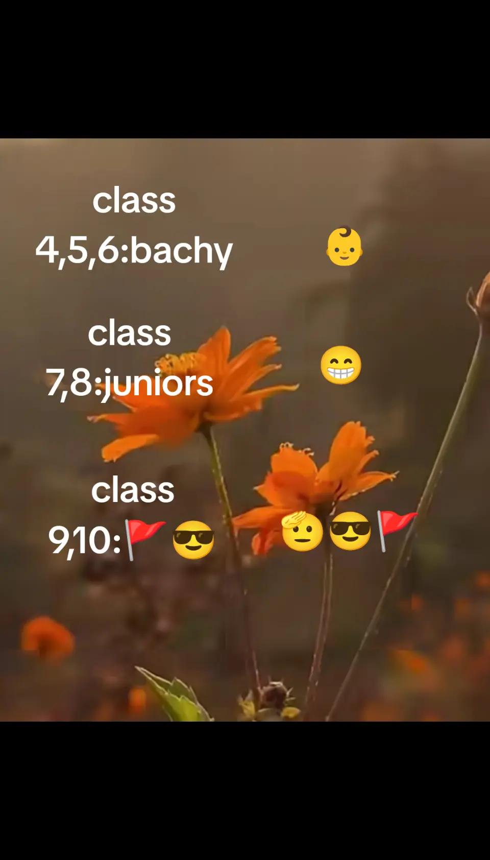 @میا ایان🚩