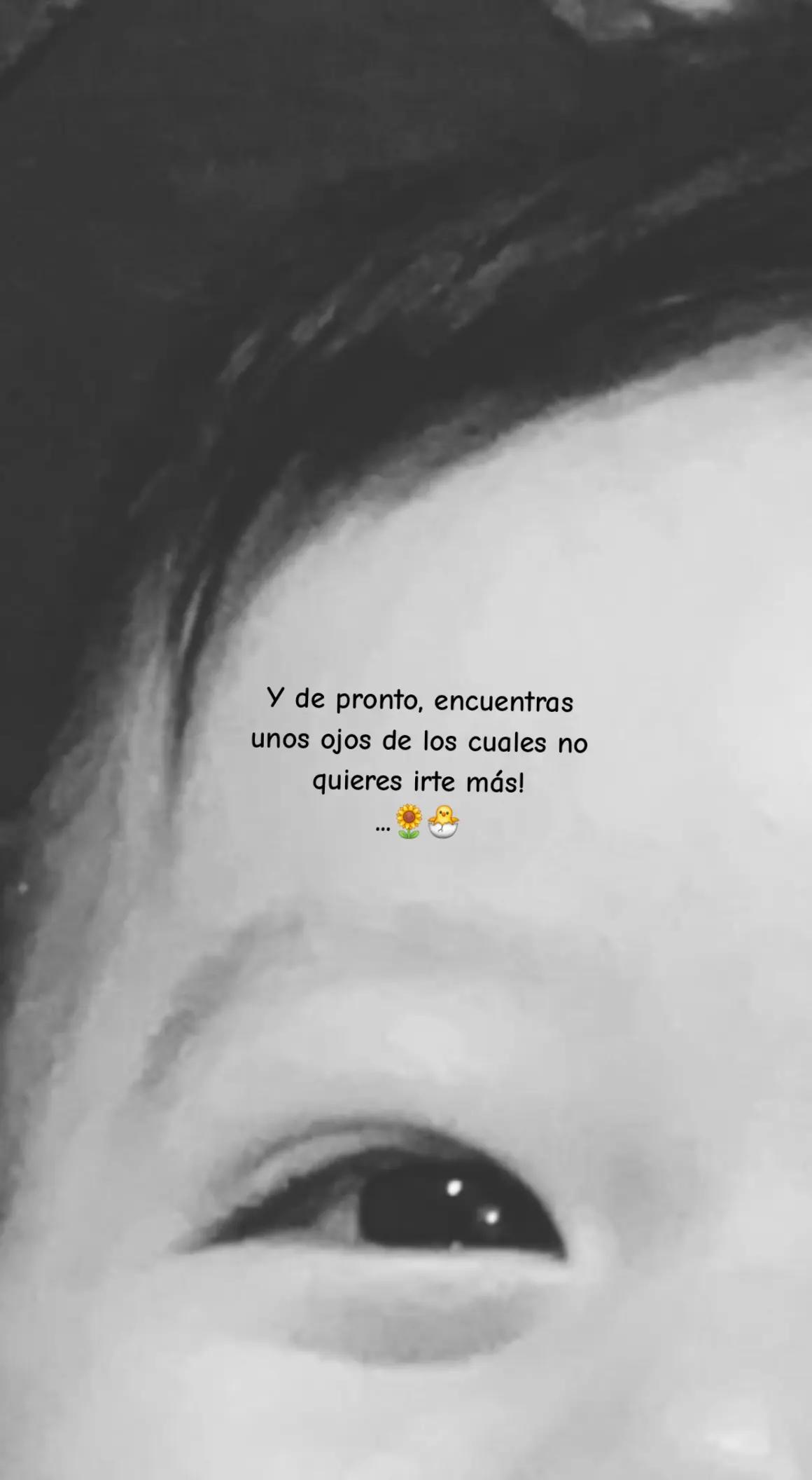 @🌻 Nalle 🌻