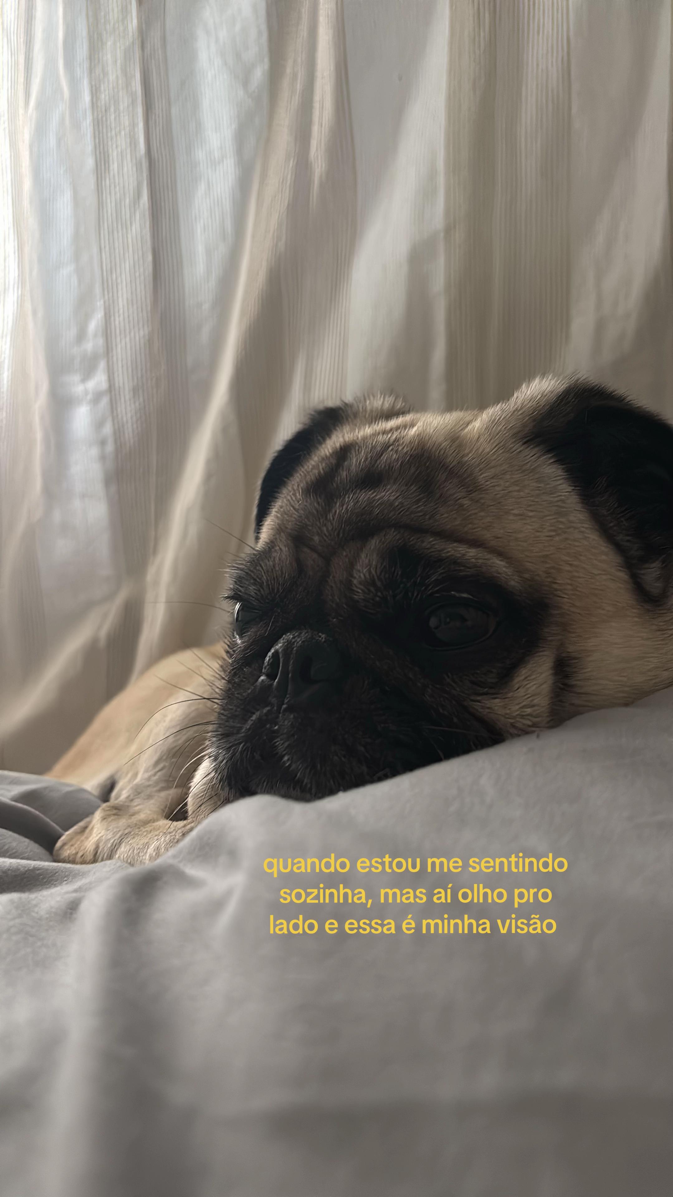 @vi ⭐️