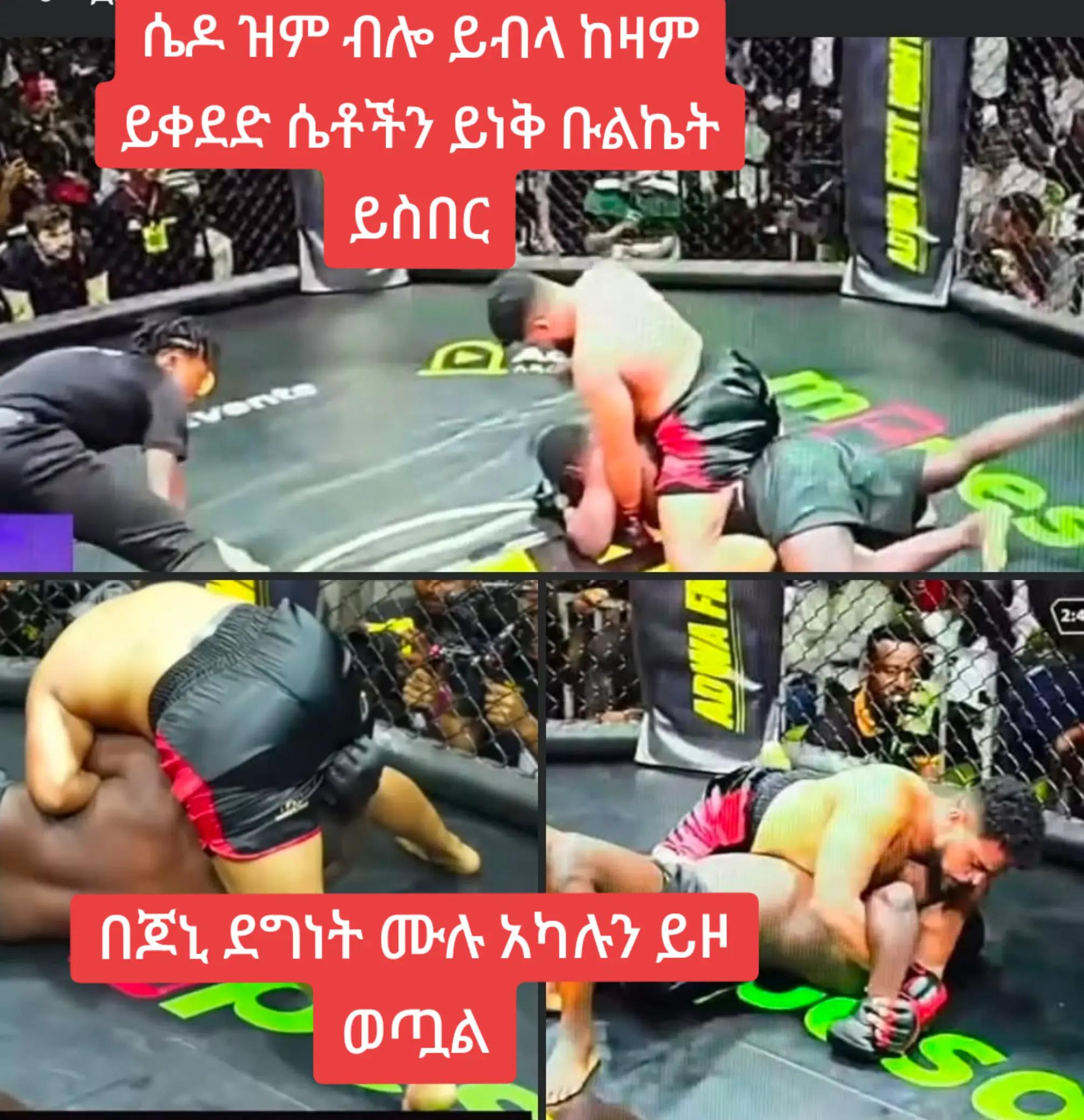 @bini ሐረር