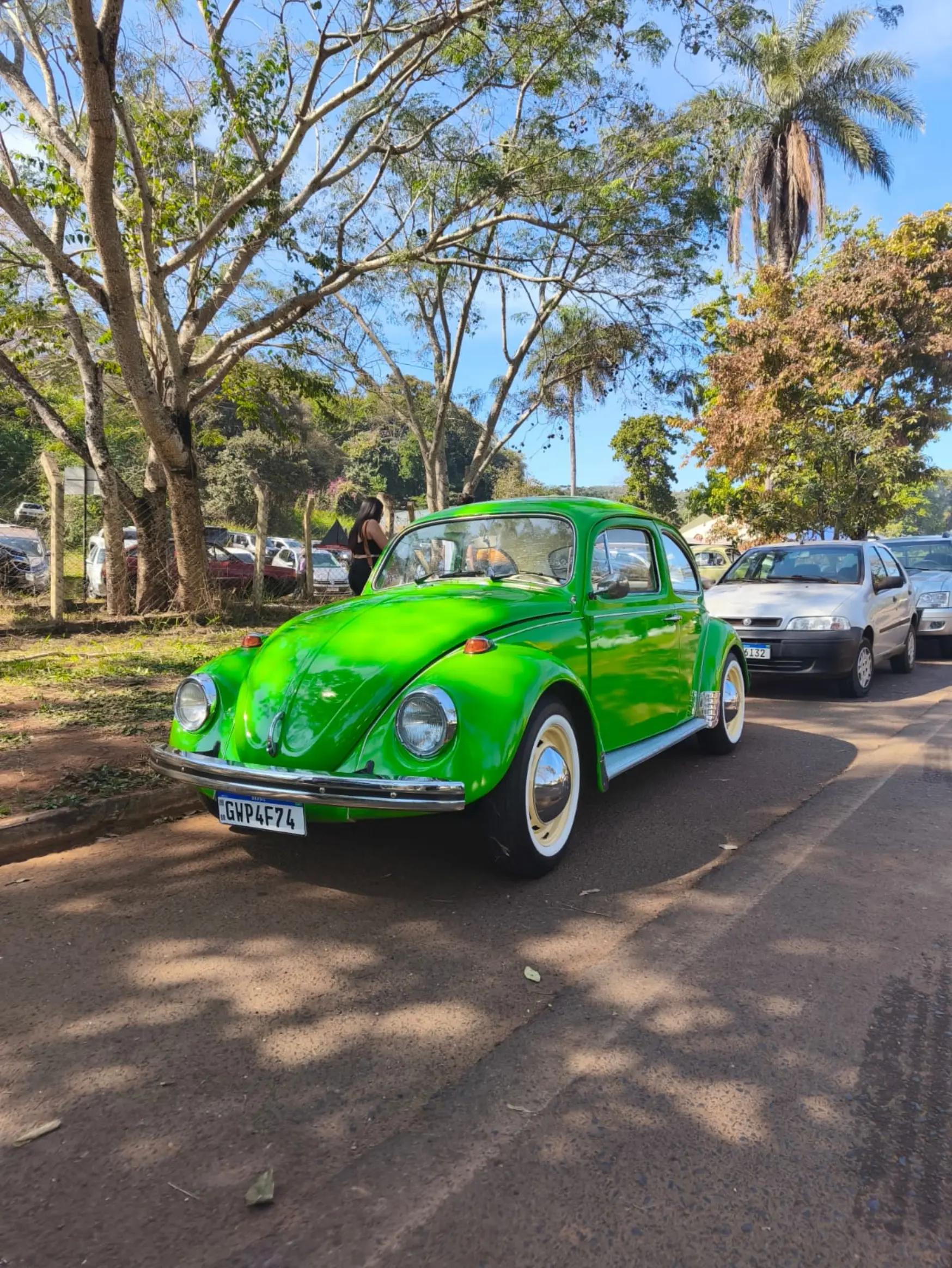 @Cars in Brasil