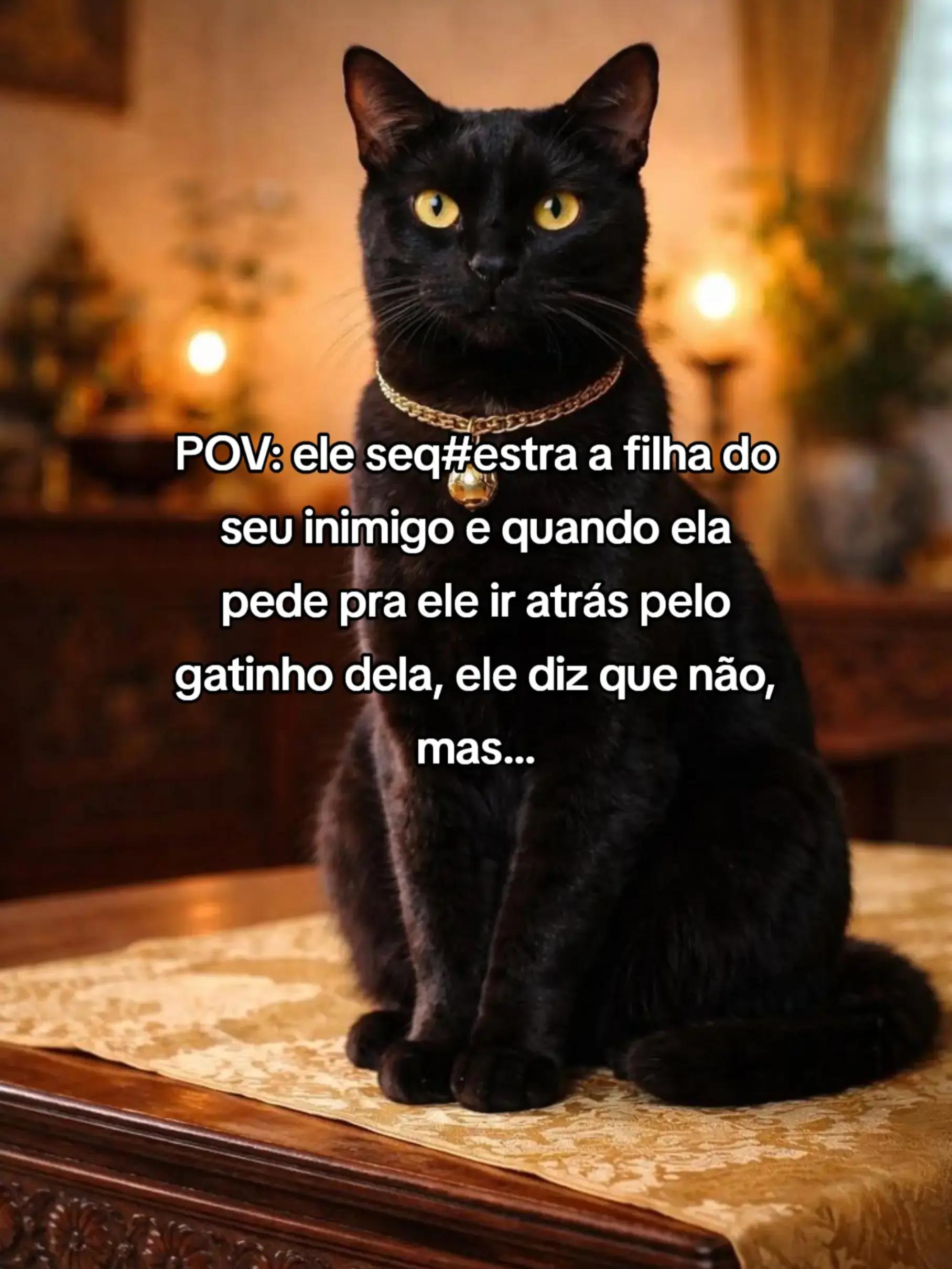 @vpassessorialiteraria