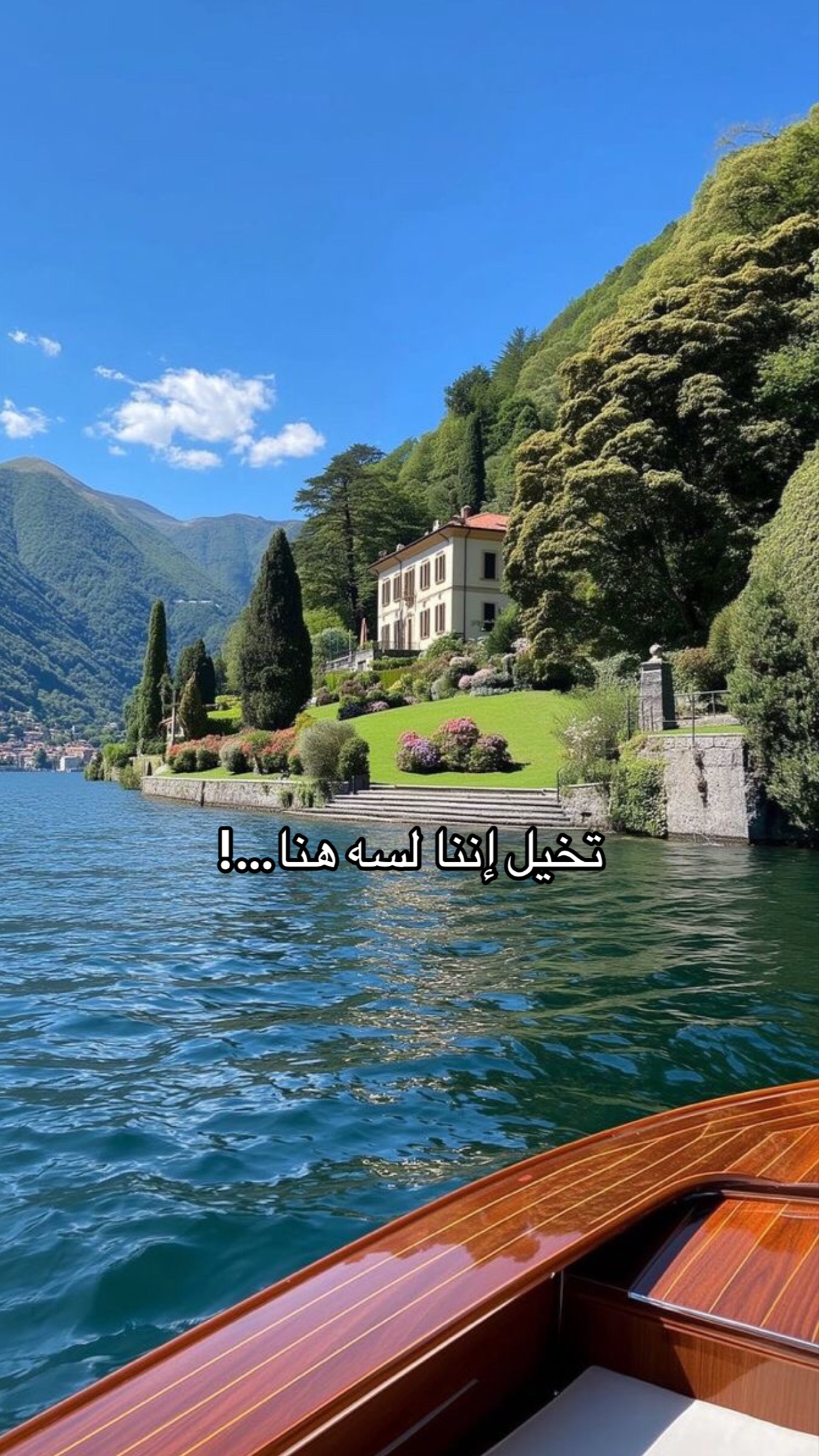 @Noura Srour