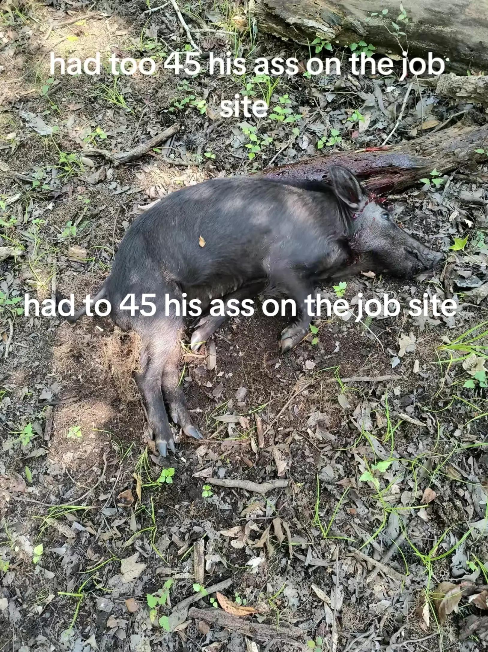 @lavoncoates2