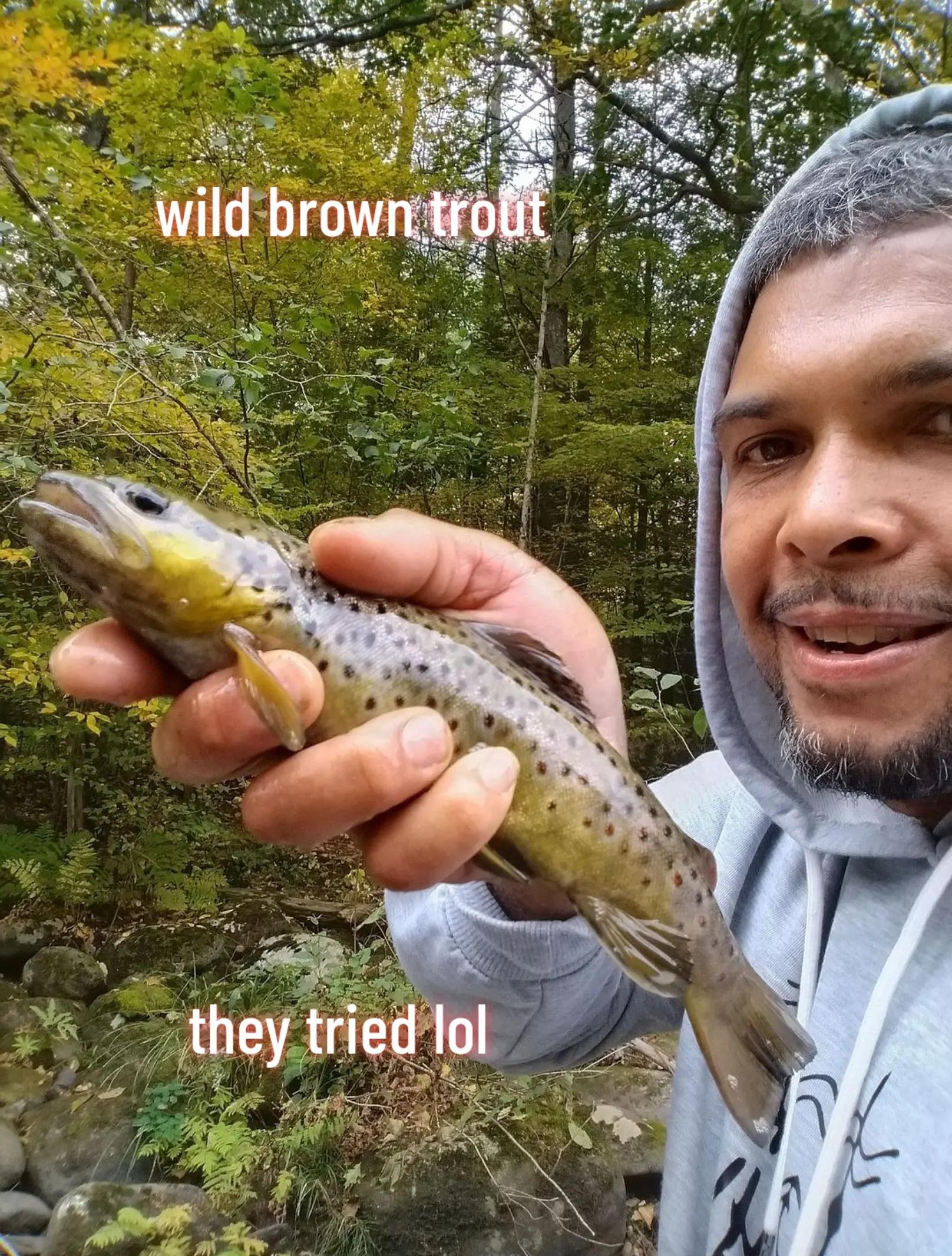 @Carlos Pagan