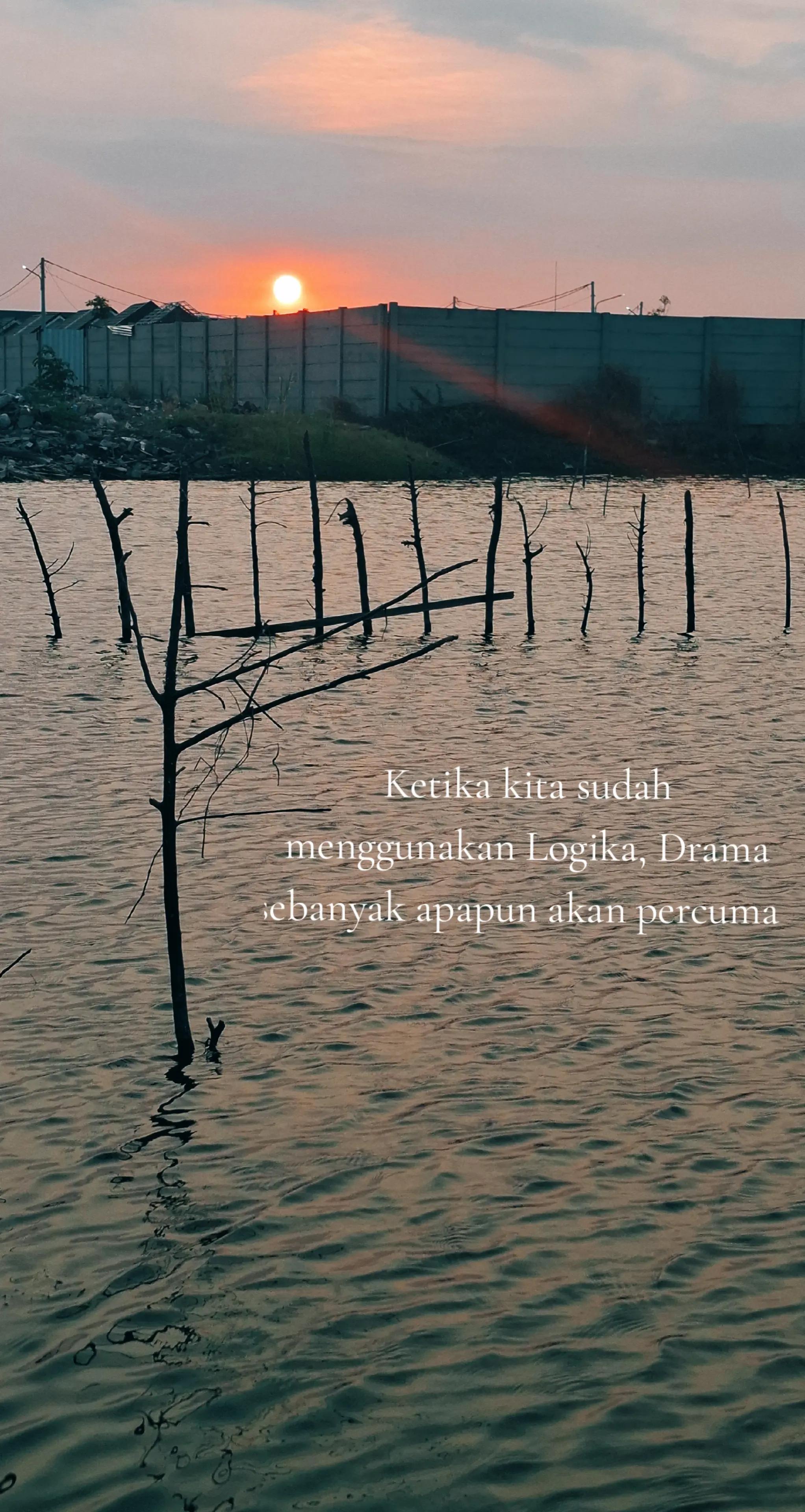 @ใใ ๐
๐ท๐ด๐
๐ฐ๐
๐ด๐ฐ ใใ