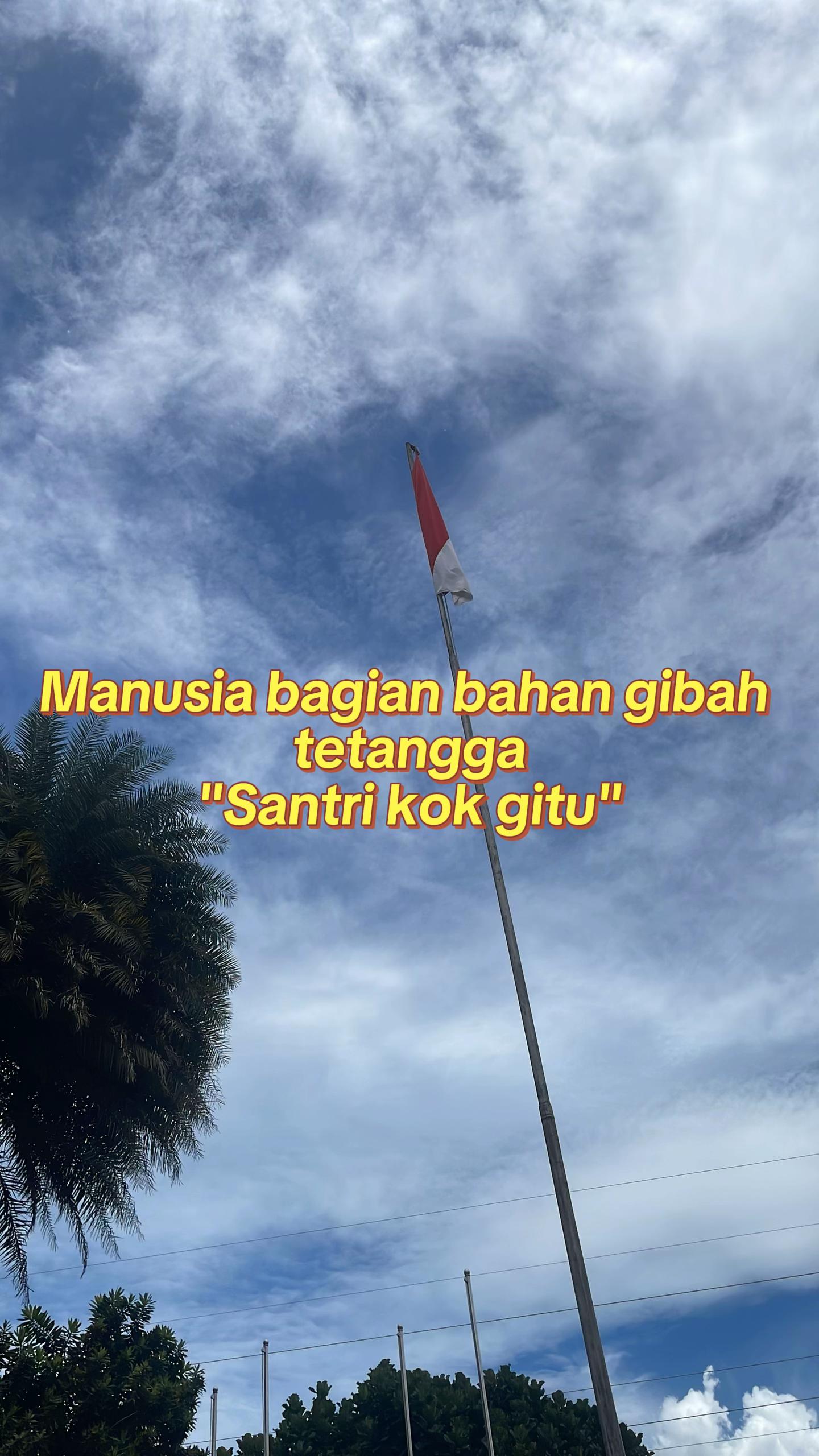 @Msthf