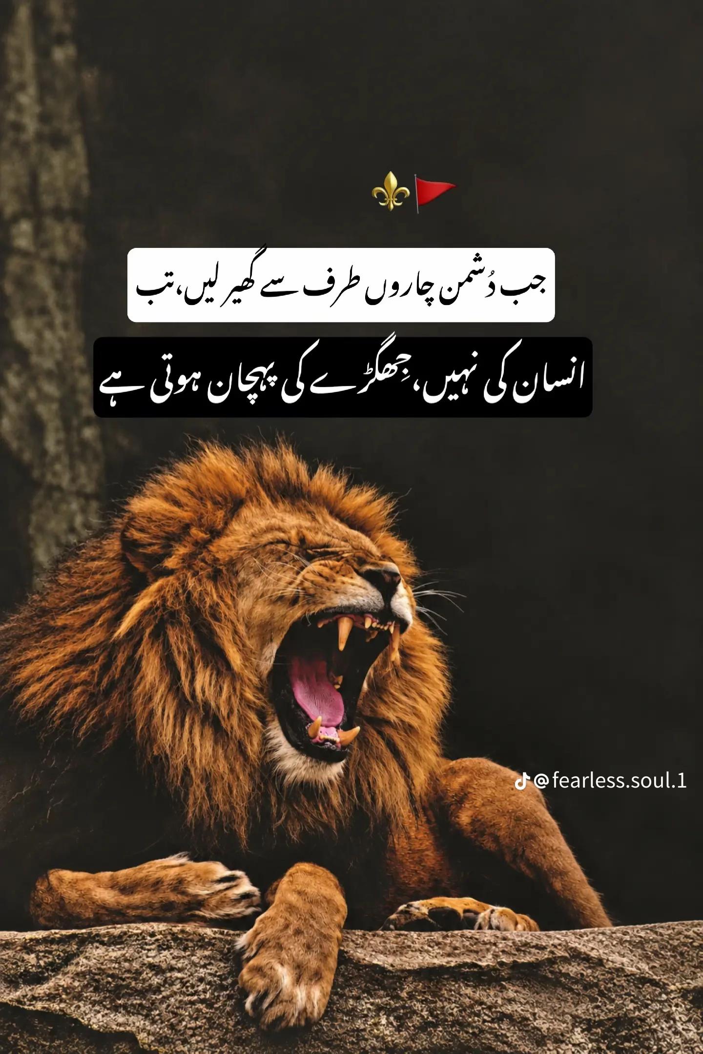 @مہر کہتے ہیں 😎