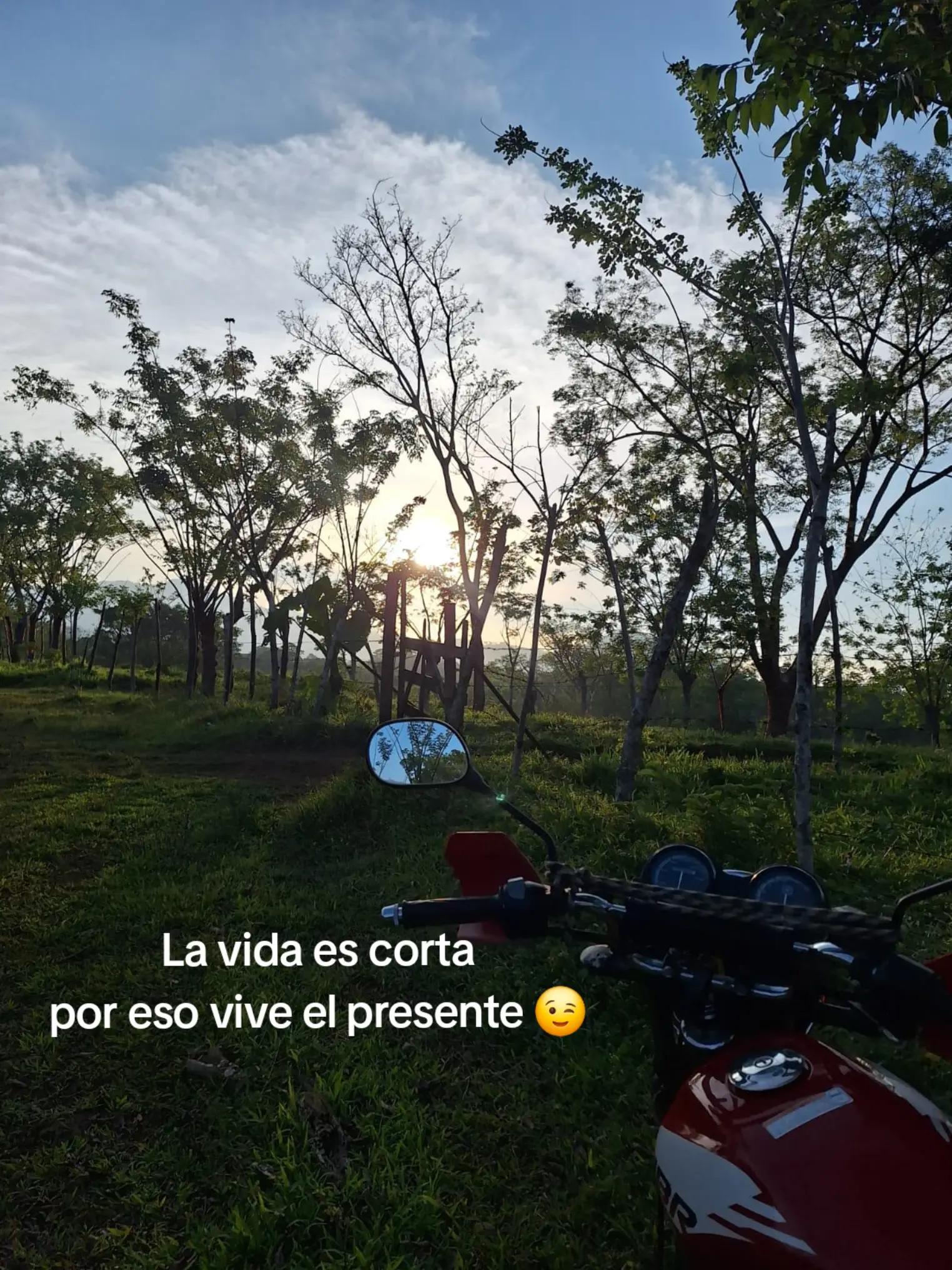 @Michel Hernandez 👑