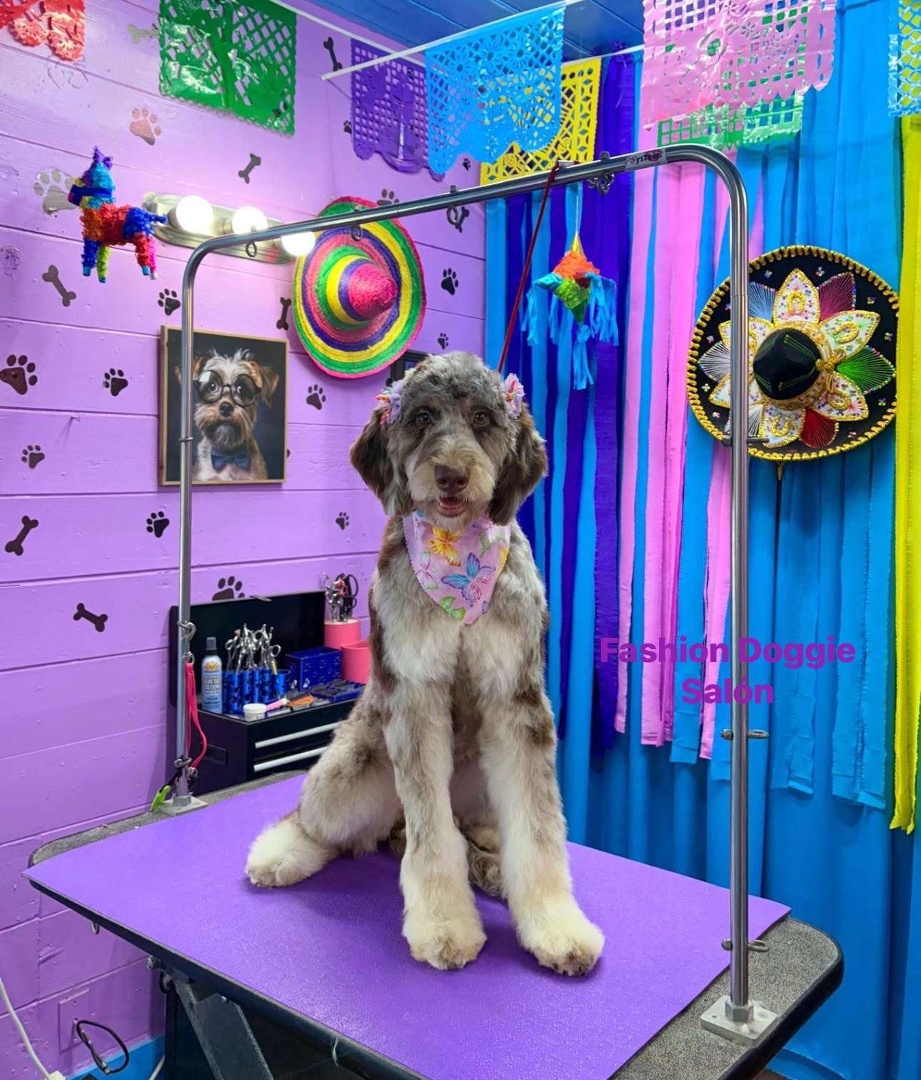 @fashion.doggie.salon