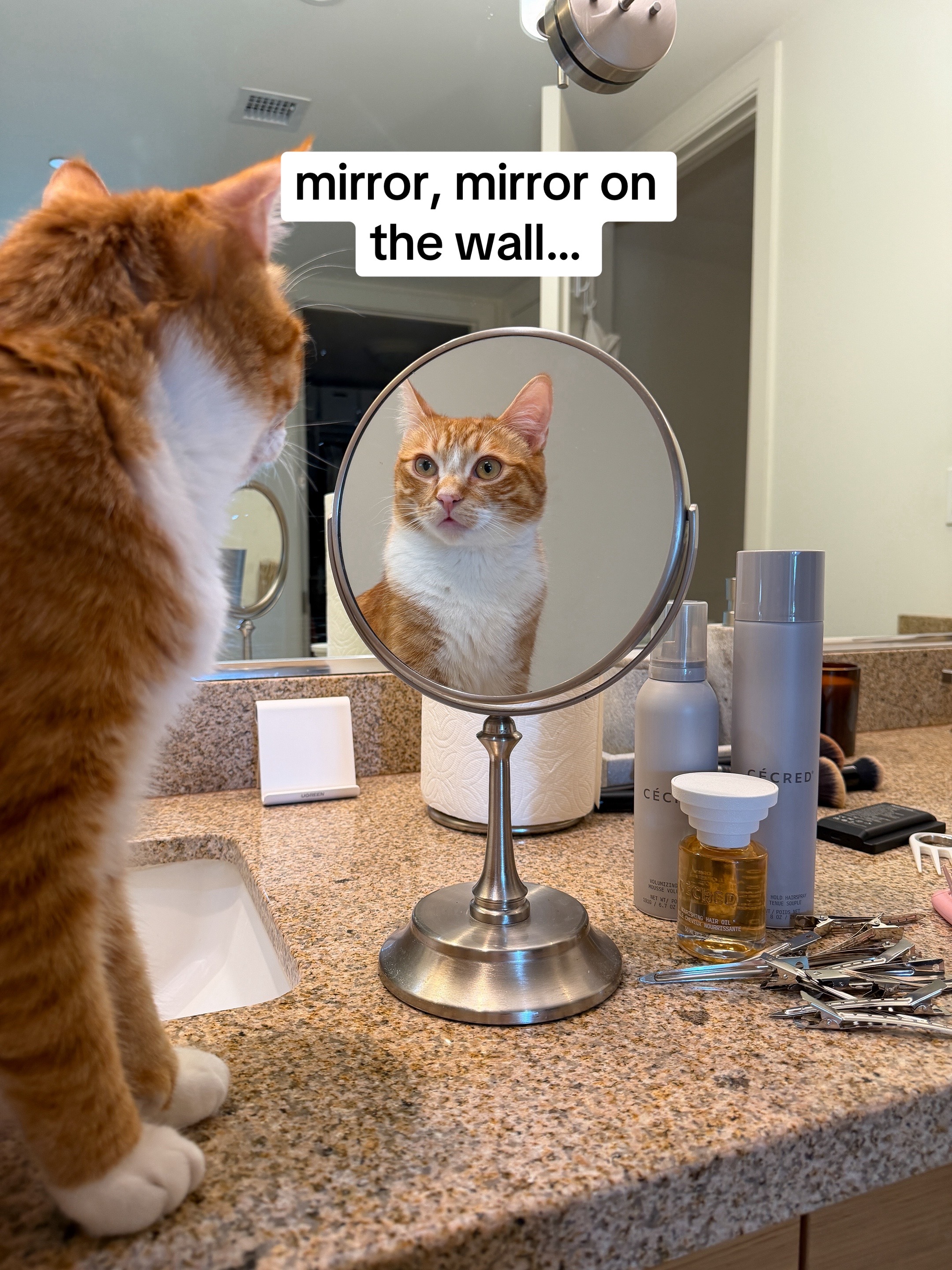 @Mariah | Cat Mom