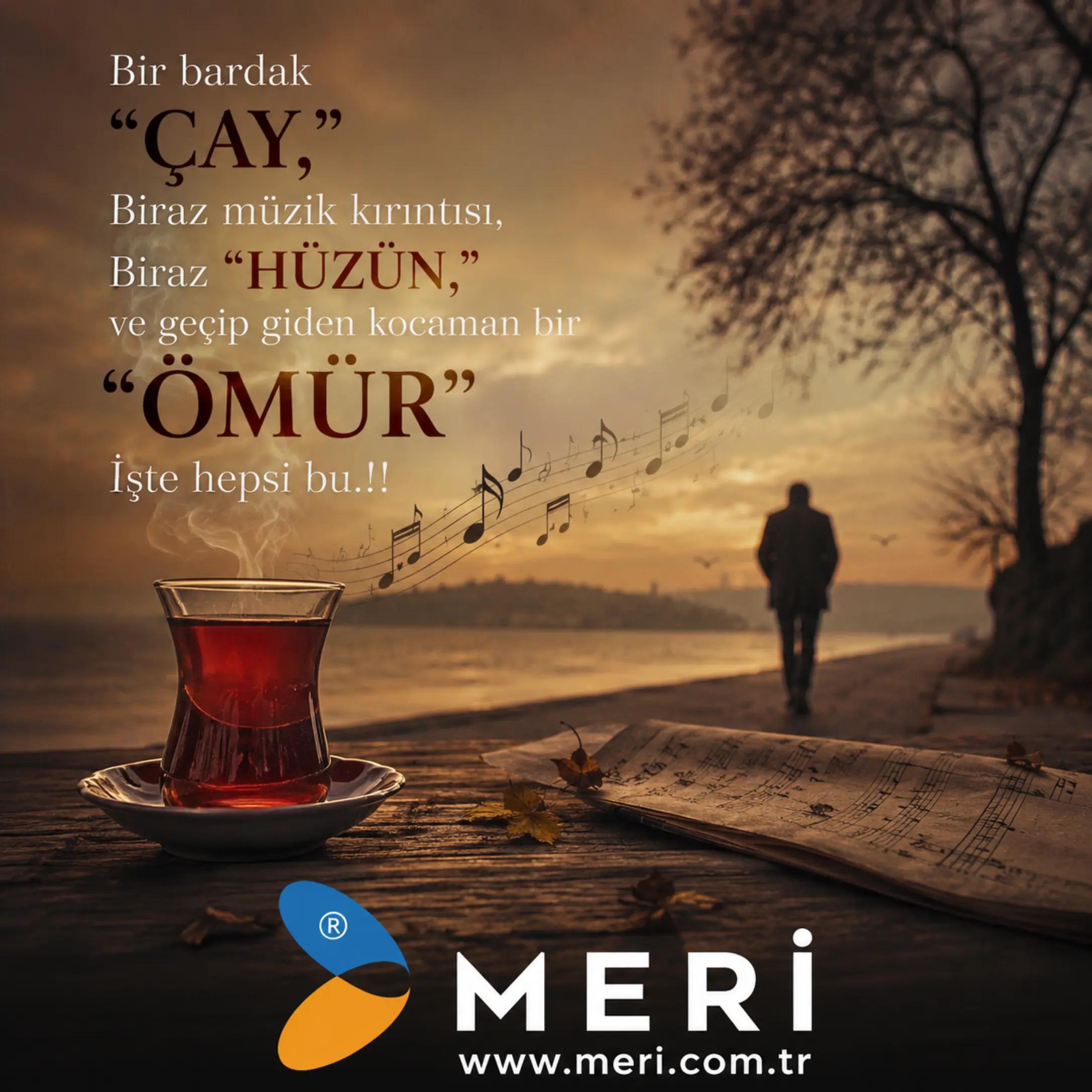 @Meri Sineklik İsmail Kurt