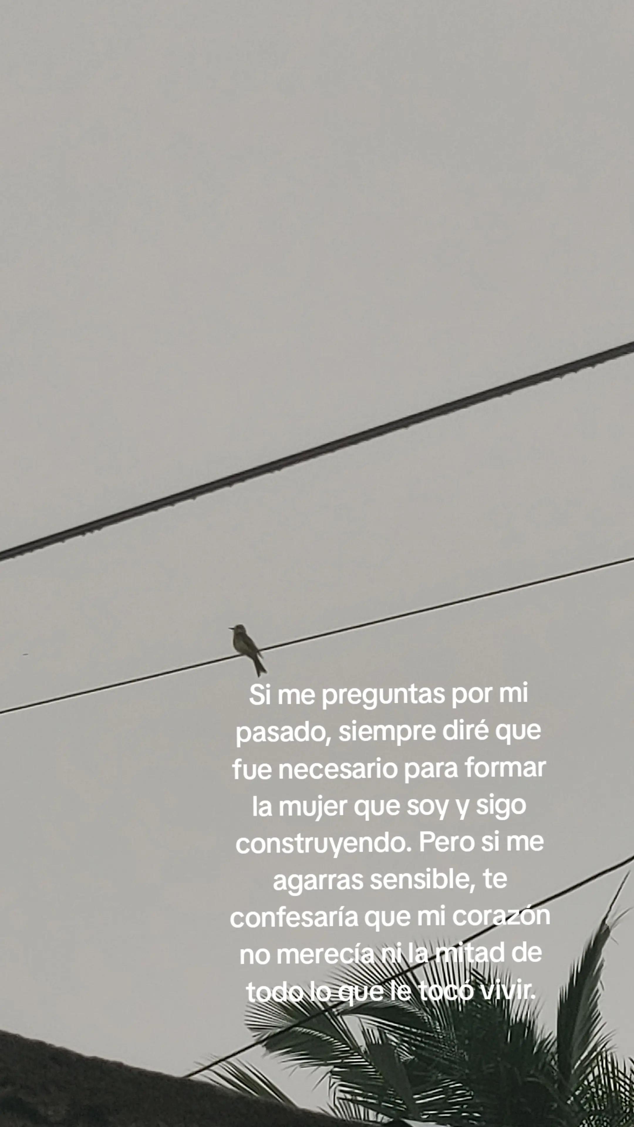 @Marilin♡🕷️