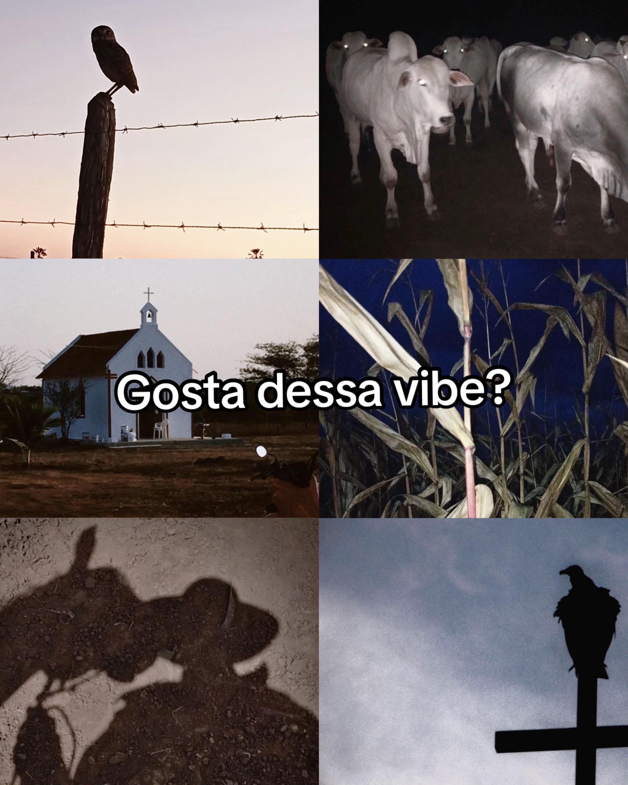 @🖤🦇 Piter Salvatore 🖤🦇
