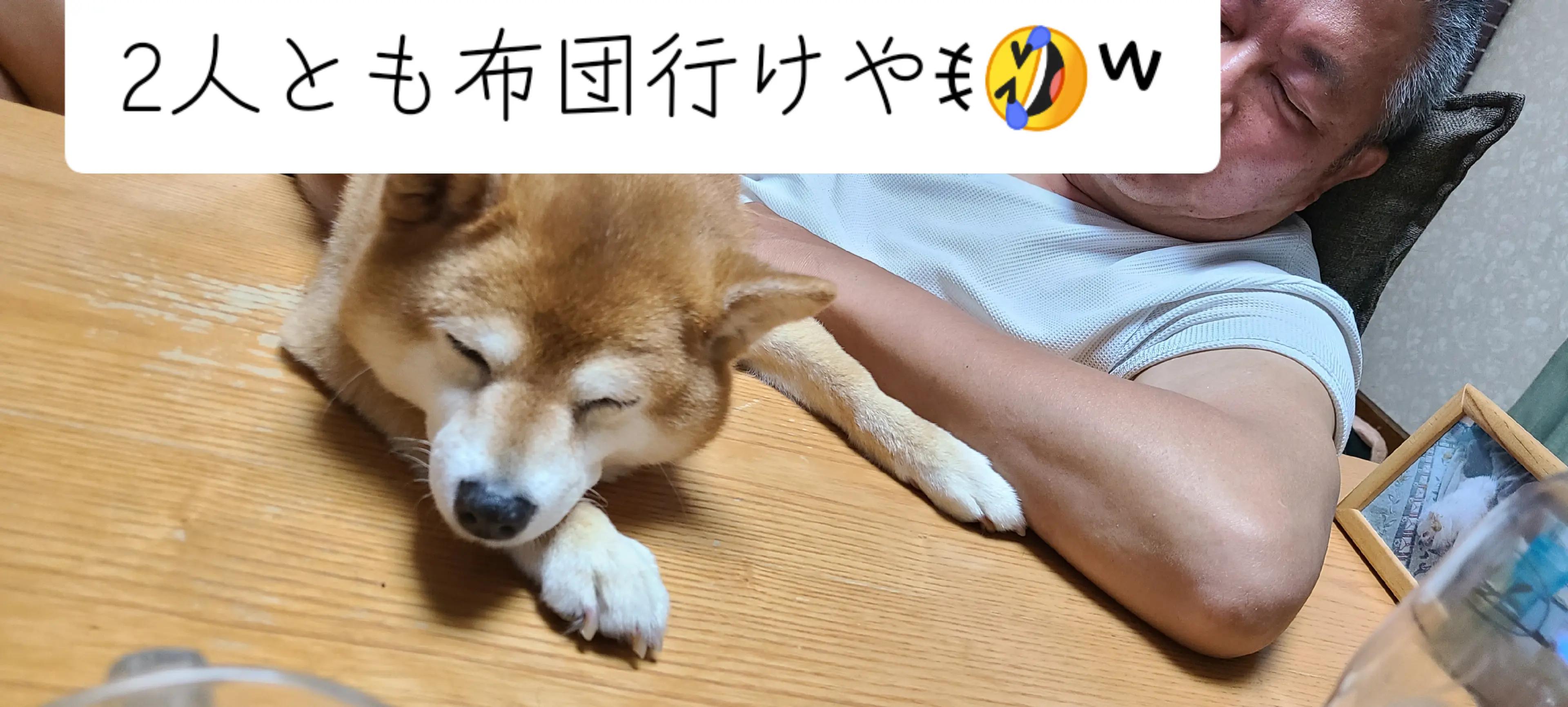 @わんわんニャンニャン🐱🐶