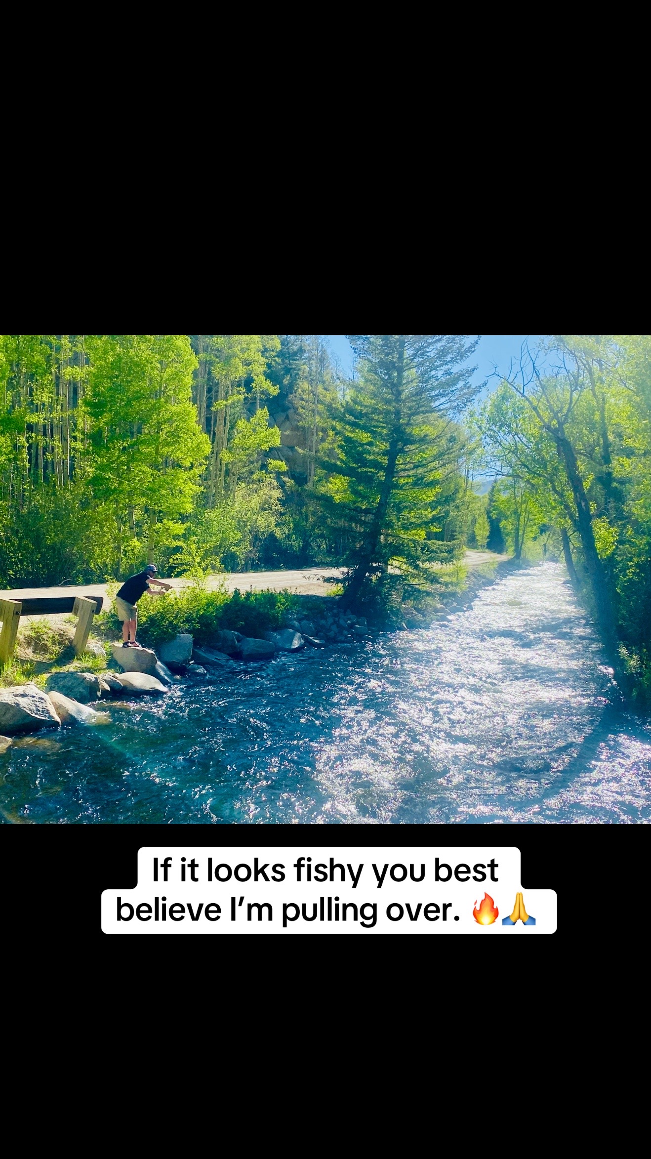 @nickduckman®🦆