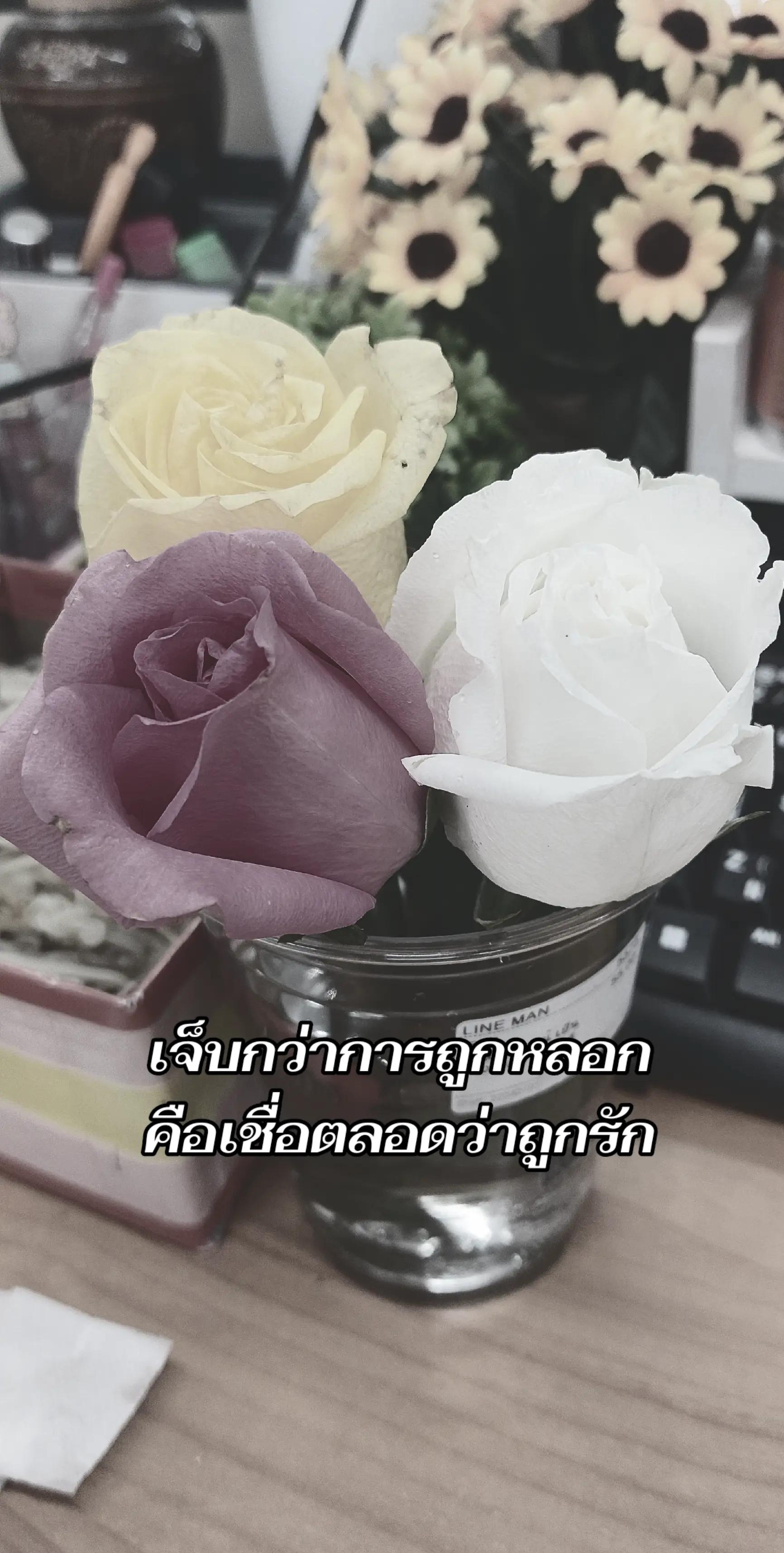 @🌼🍀นิชา🍀🌼