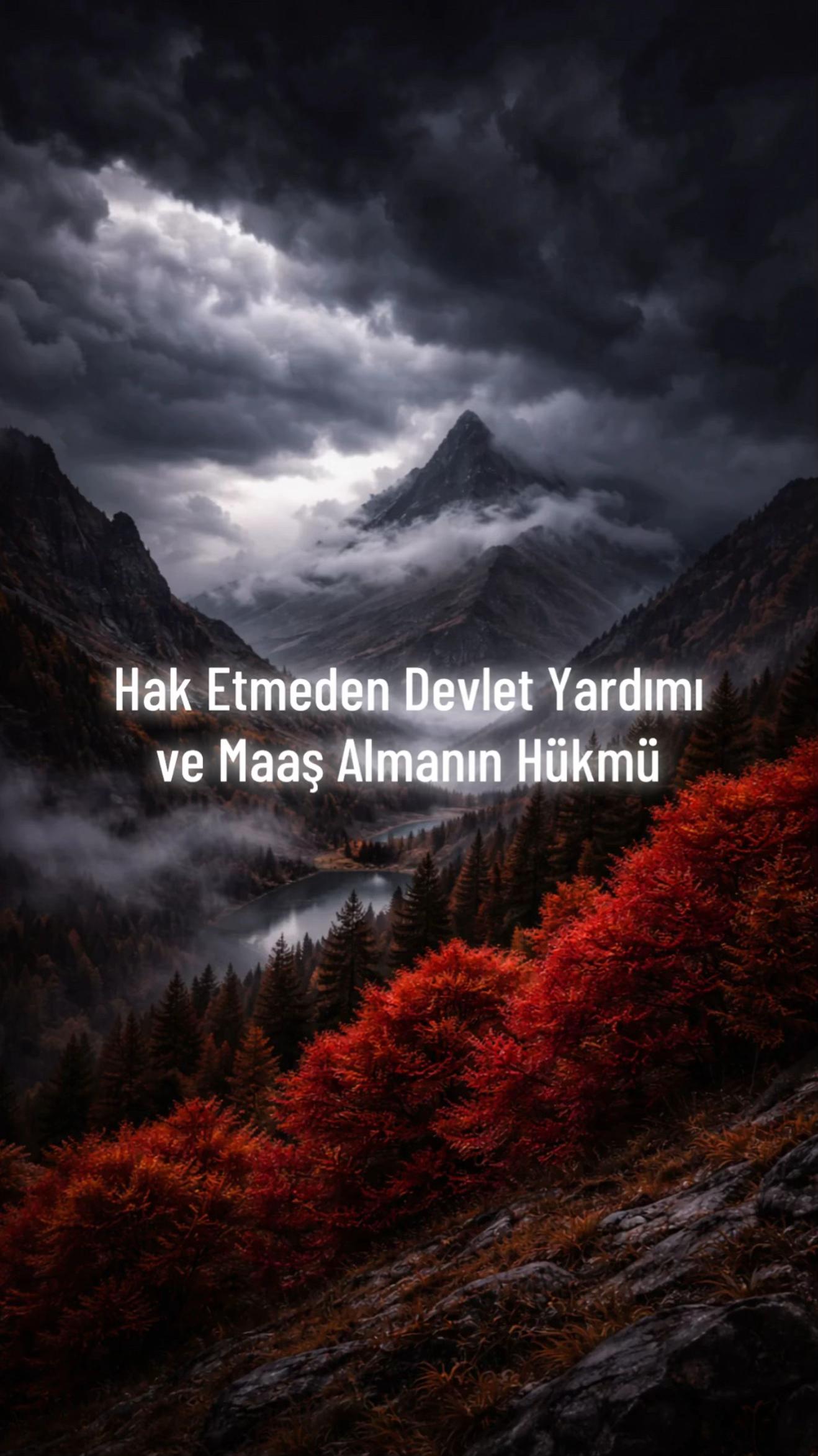 @TEVHİD_GENCİ
