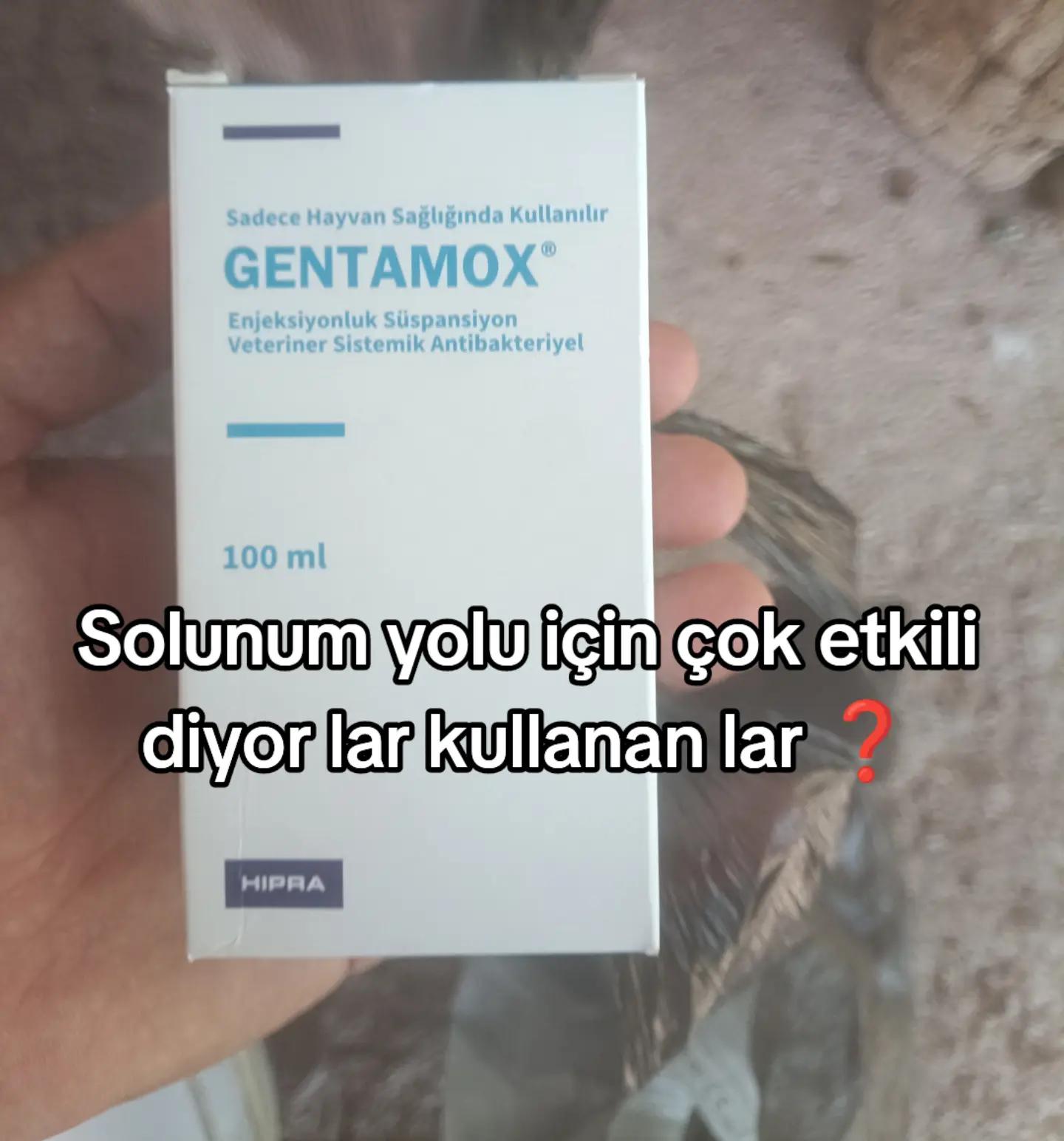 @YARIŞ POSTASI