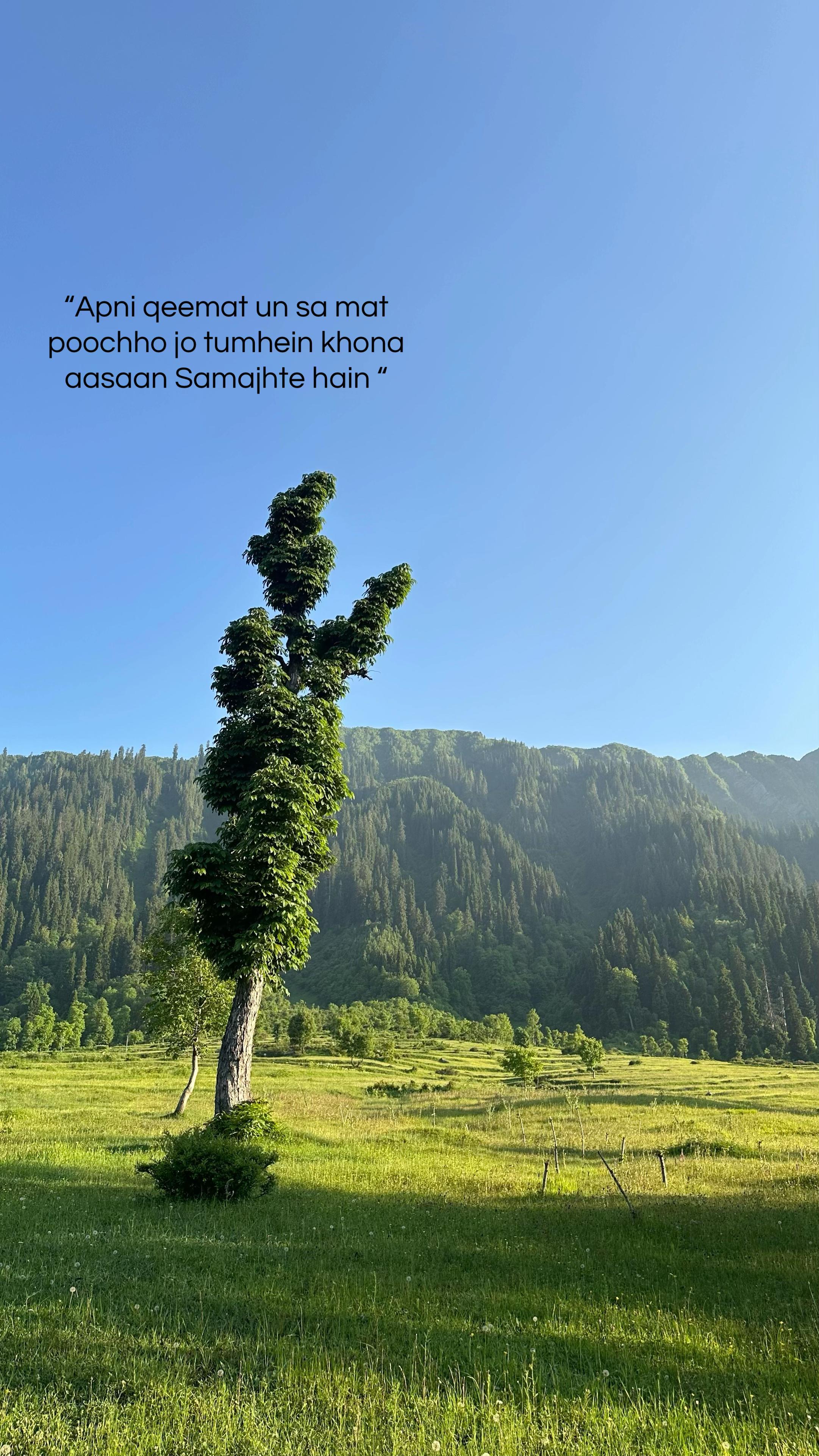 @🪫
