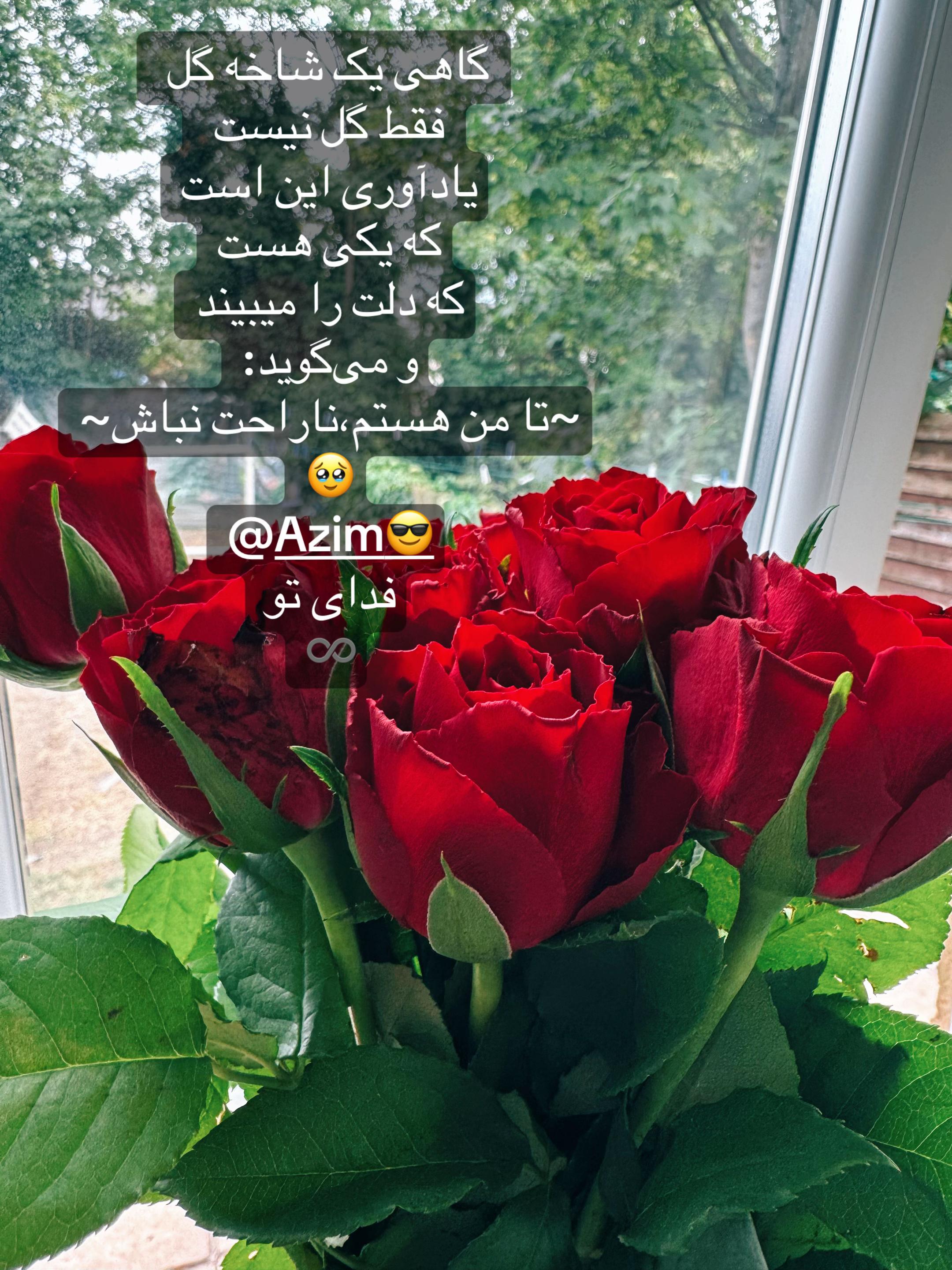@LifeInMoments