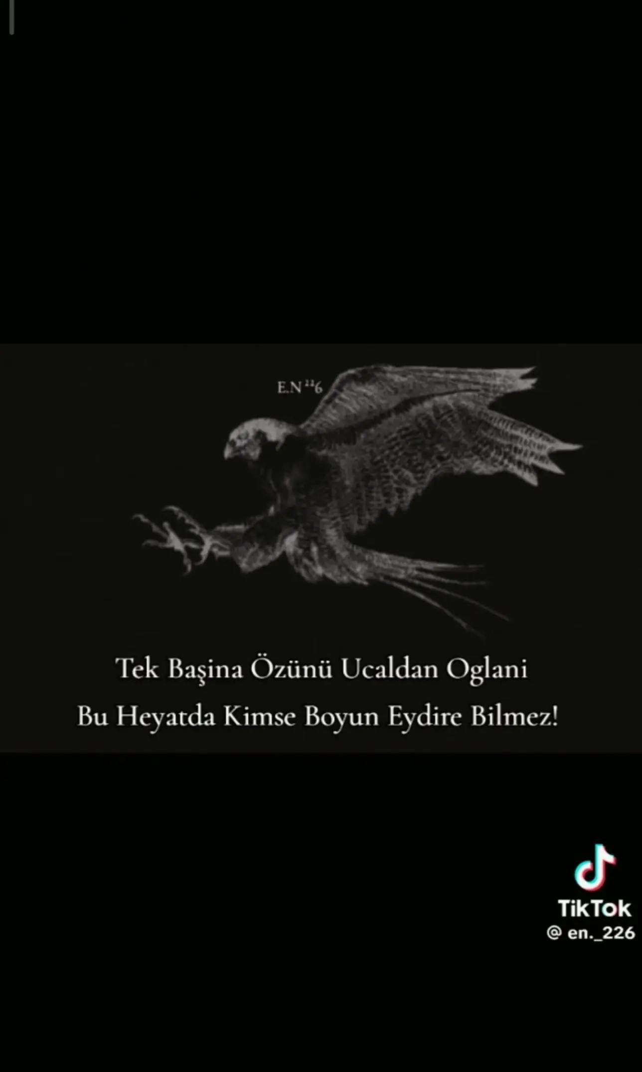 @regyon028