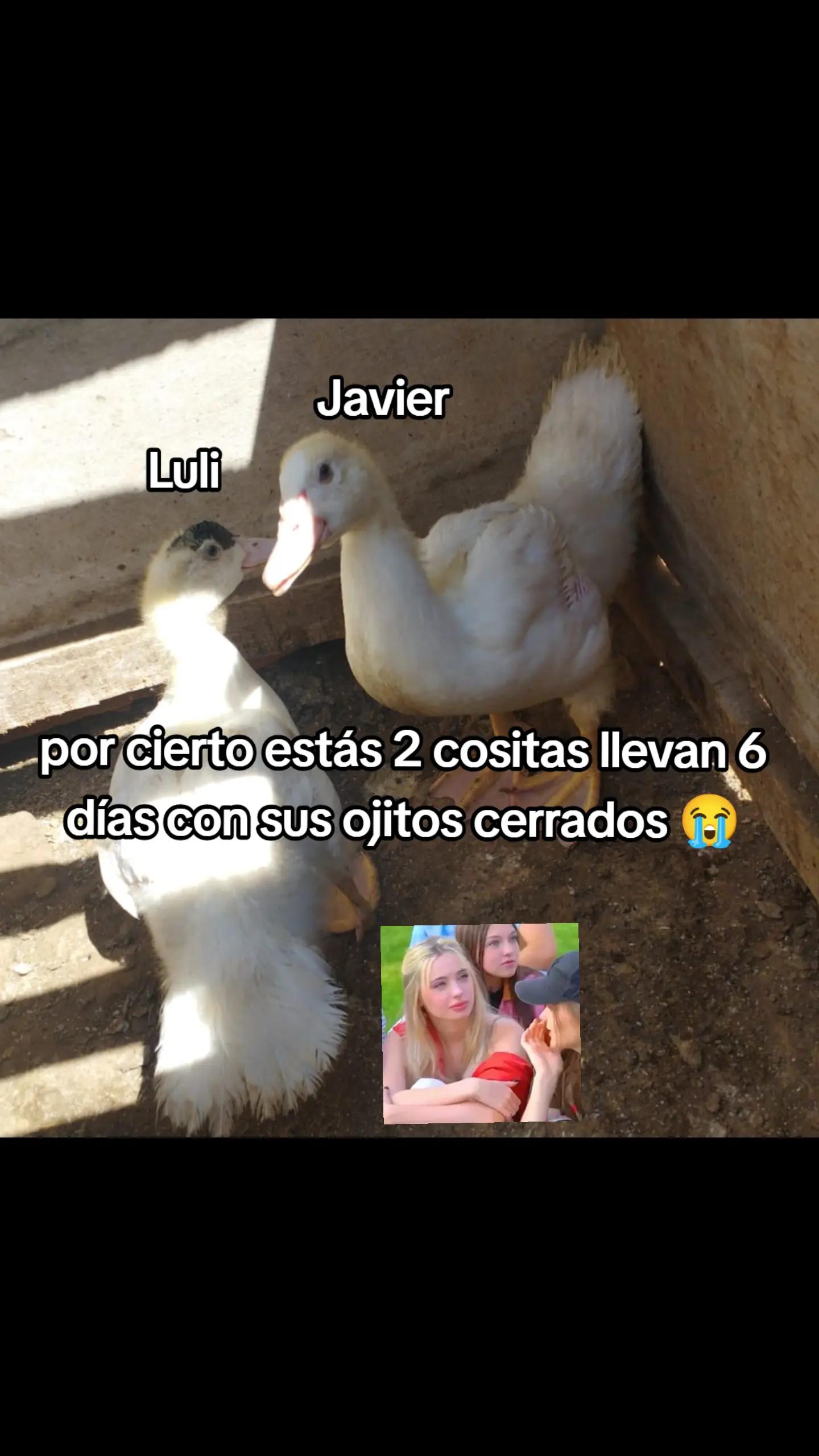 @๐ฉท๐๐๐ฃ๐๐ฉต